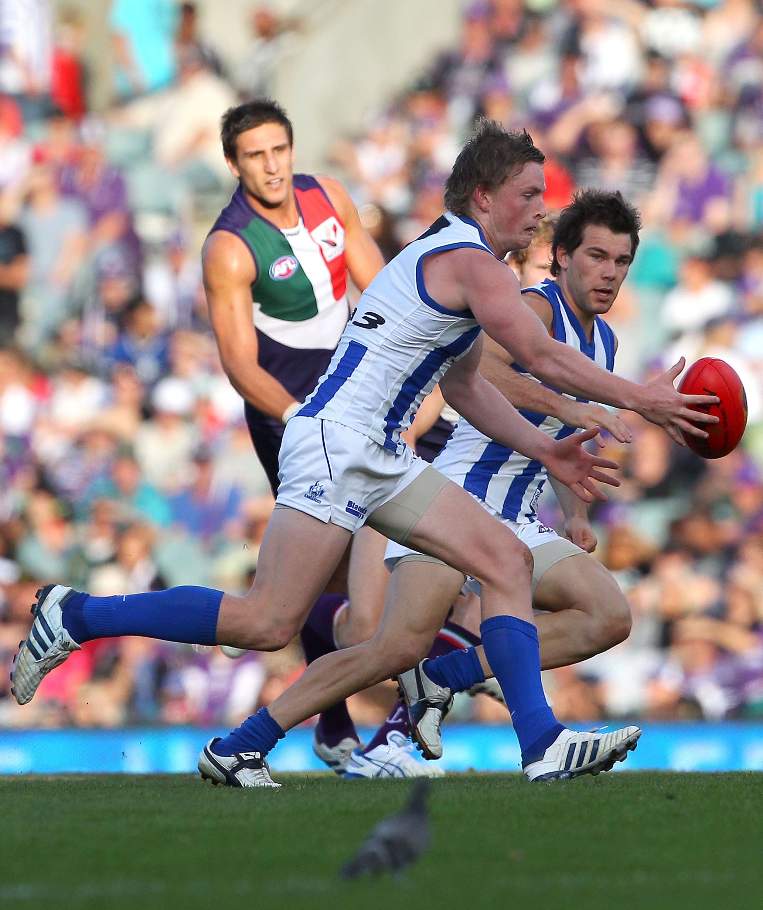 PERTH, AUSTRALIA - MAY 30: Jack Ziebell of the Kangaroos gathers the ball during the round 10 AFL match between the Fremantle Dockers and the North Melbourne Kangaroos at Subiaco Oval on May 30, 2010 in Perth, Australia. (Photo by Paul Kane/Getty Images