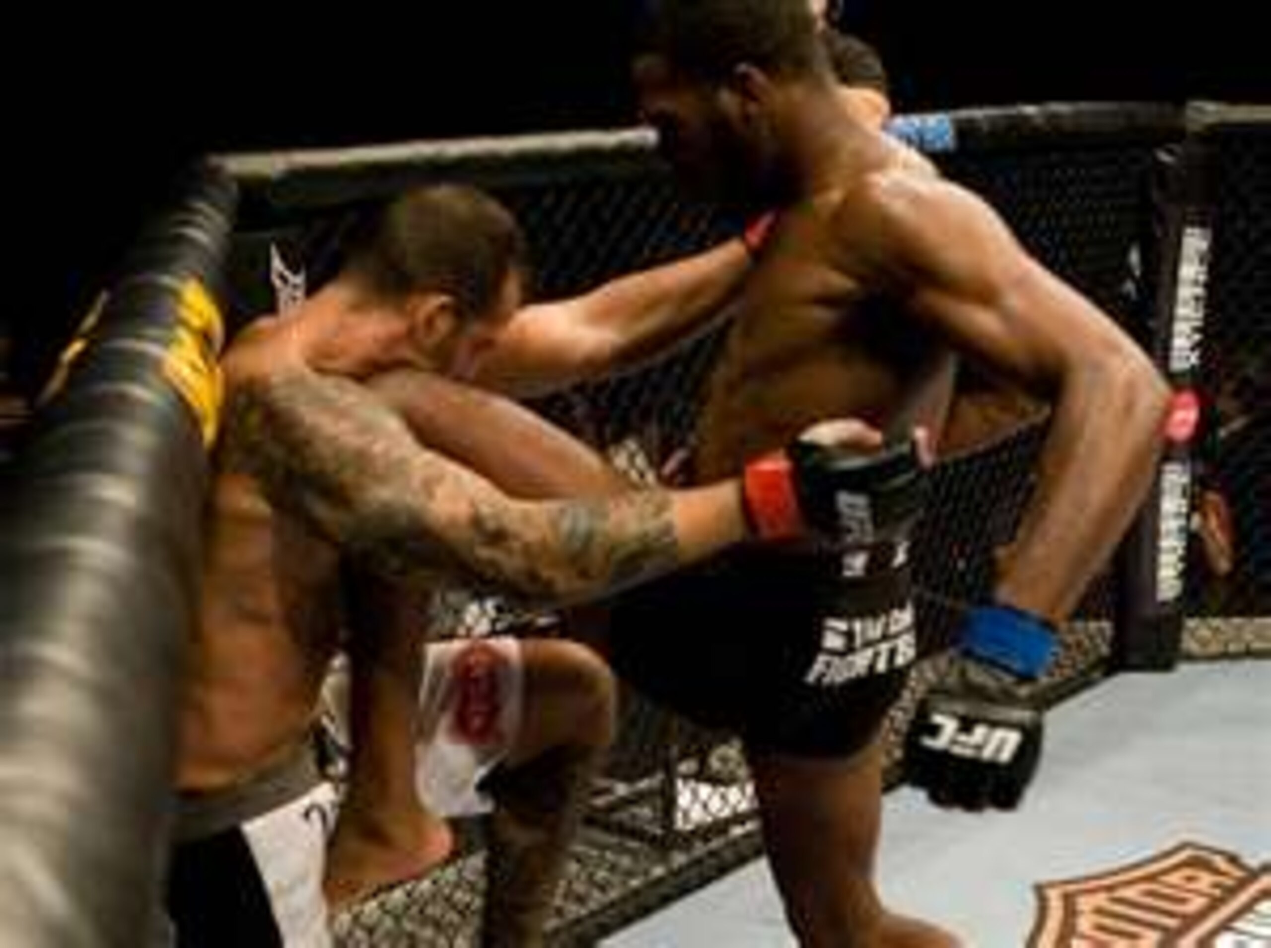 UFC Light Heavyweight Champion, Jon "Bones" Jones
