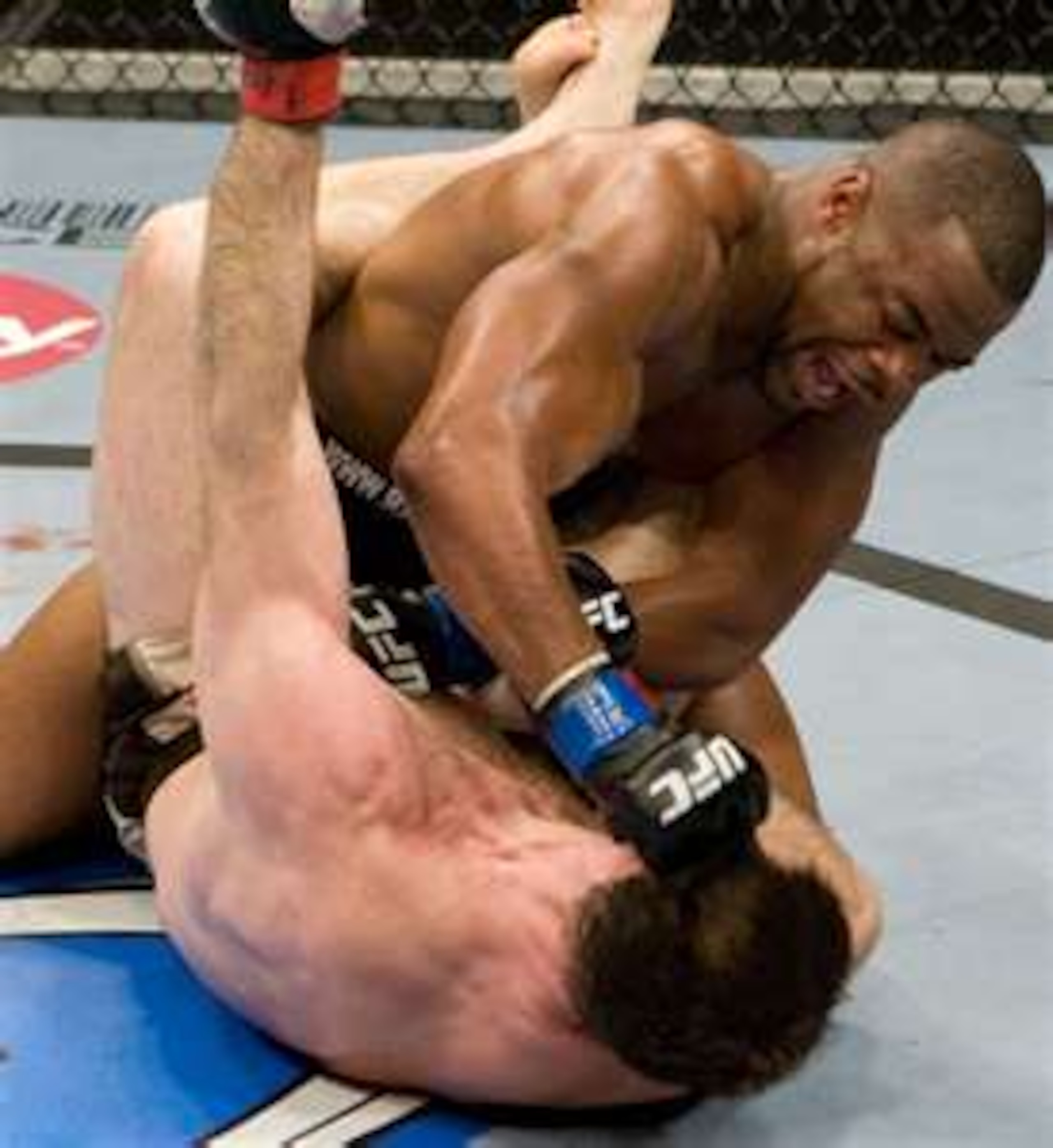 Rashad Evans delivering punishing ground and pound