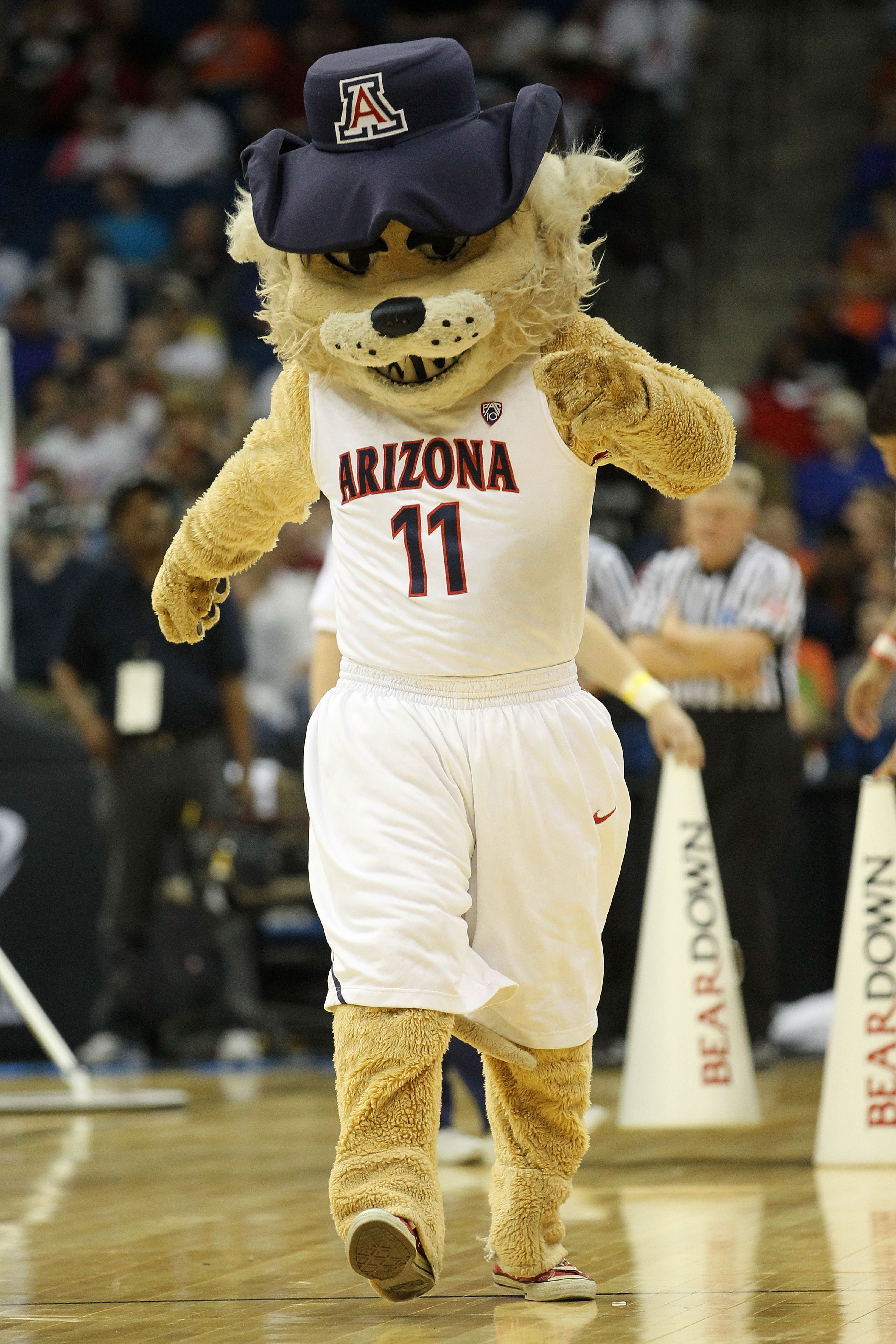 Wilbur and Wilma Wildcat Get Halloween Makeovers