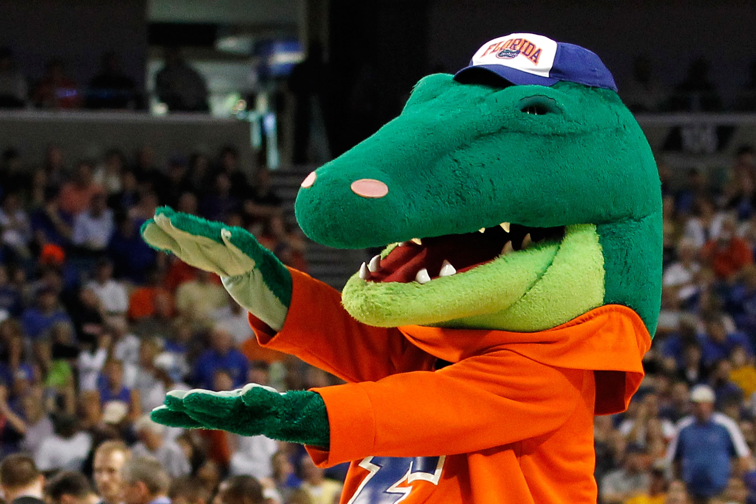 TAMPA, FL - MARCH 19: Albert, the mascot for the Florida Gators, performs against the UCLA Bruins during the third round of the 2011 NCAA men's basketball tournament at St. Pete Times Forum on March 19, 2011 in Tampa, Florida. Florida won 73-65. (Photo b TAMPA, FL - MARCH 19: Albert, the mascot for the Florida Gators, performs against the UCLA Bruins during the third round of the 2011 NCAA men's basketball tournament at St. Pete Times Forum on March 19, 2011 in Tampa, Florida. Florida won 73-65. (Photo b