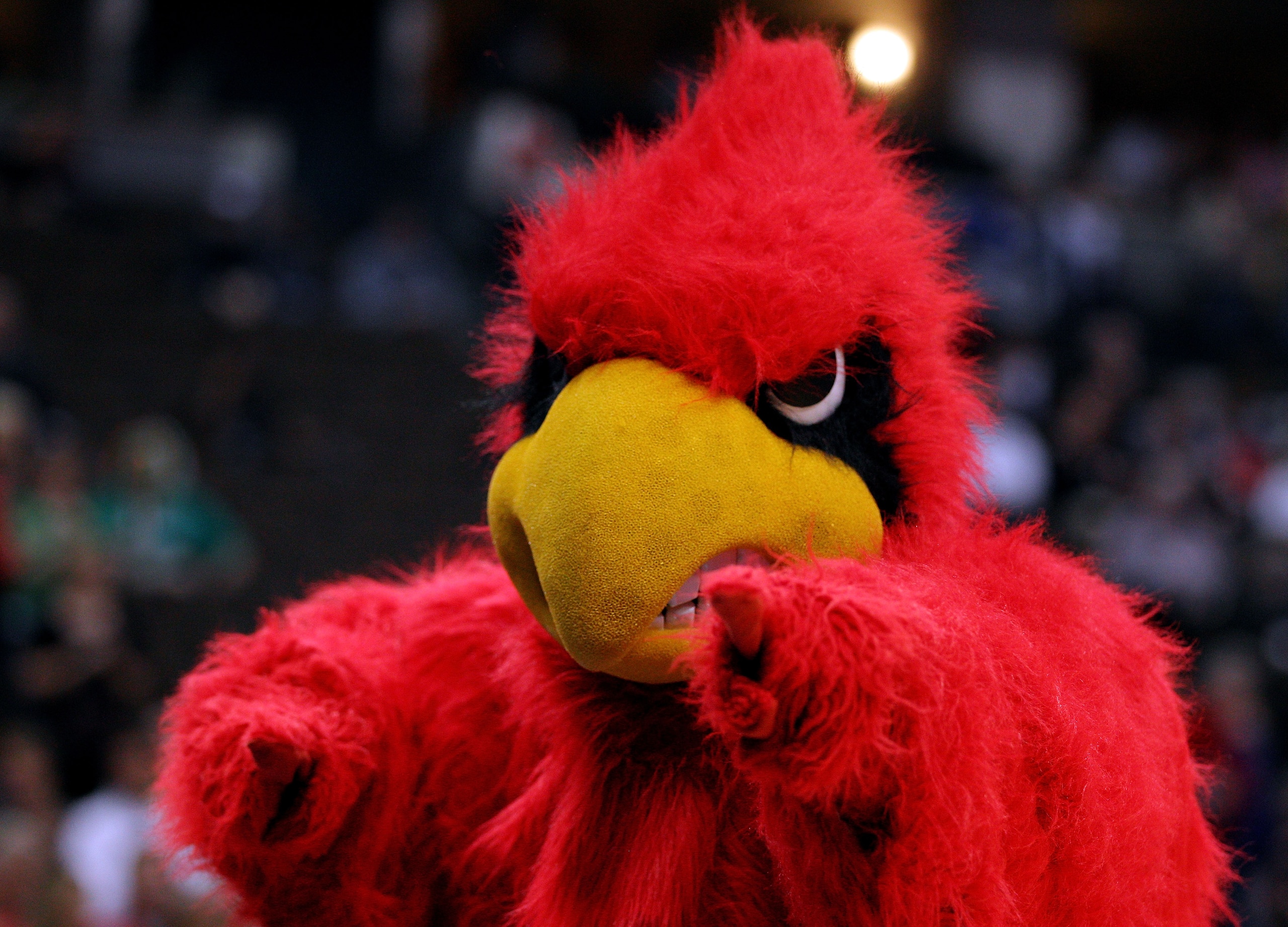DENVER, CO - MARCH 17: The mascot of the Louisville Cardinals performs prior to taking on the Morehead State Eagles in the second round of the 2011 NCAA men's basketball tournament at Pepsi Center on March 17, 2011 in Denver, Colorado. (Photo by Justin E DENVER, CO - MARCH 17: The mascot of the Louisville Cardinals performs prior to taking on the Morehead State Eagles in the second round of the 2011 NCAA men's basketball tournament at Pepsi Center on March 17, 2011 in Denver, Colorado. (Photo by Justin E