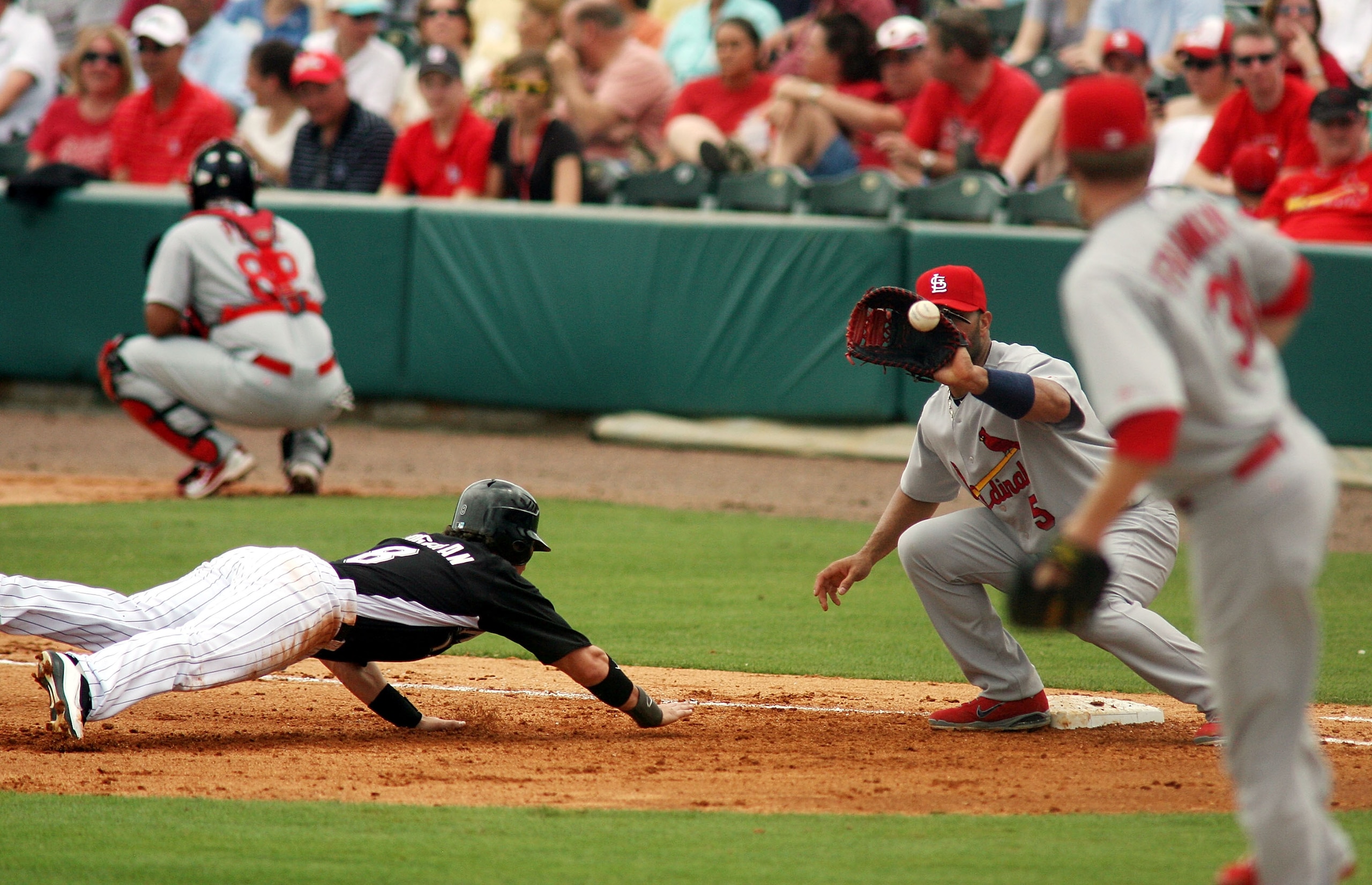 JUPITER, FL - MARCH 06: First baseman Albert Pujols #5 of the St. Louis Cardinals picks off Chris Coghlan #8 of the Florida Marlins at Roger Dean Stadium on March 6, 2011 in Jupiter, Florida.  (Photo by Marc Serota/Getty Images)