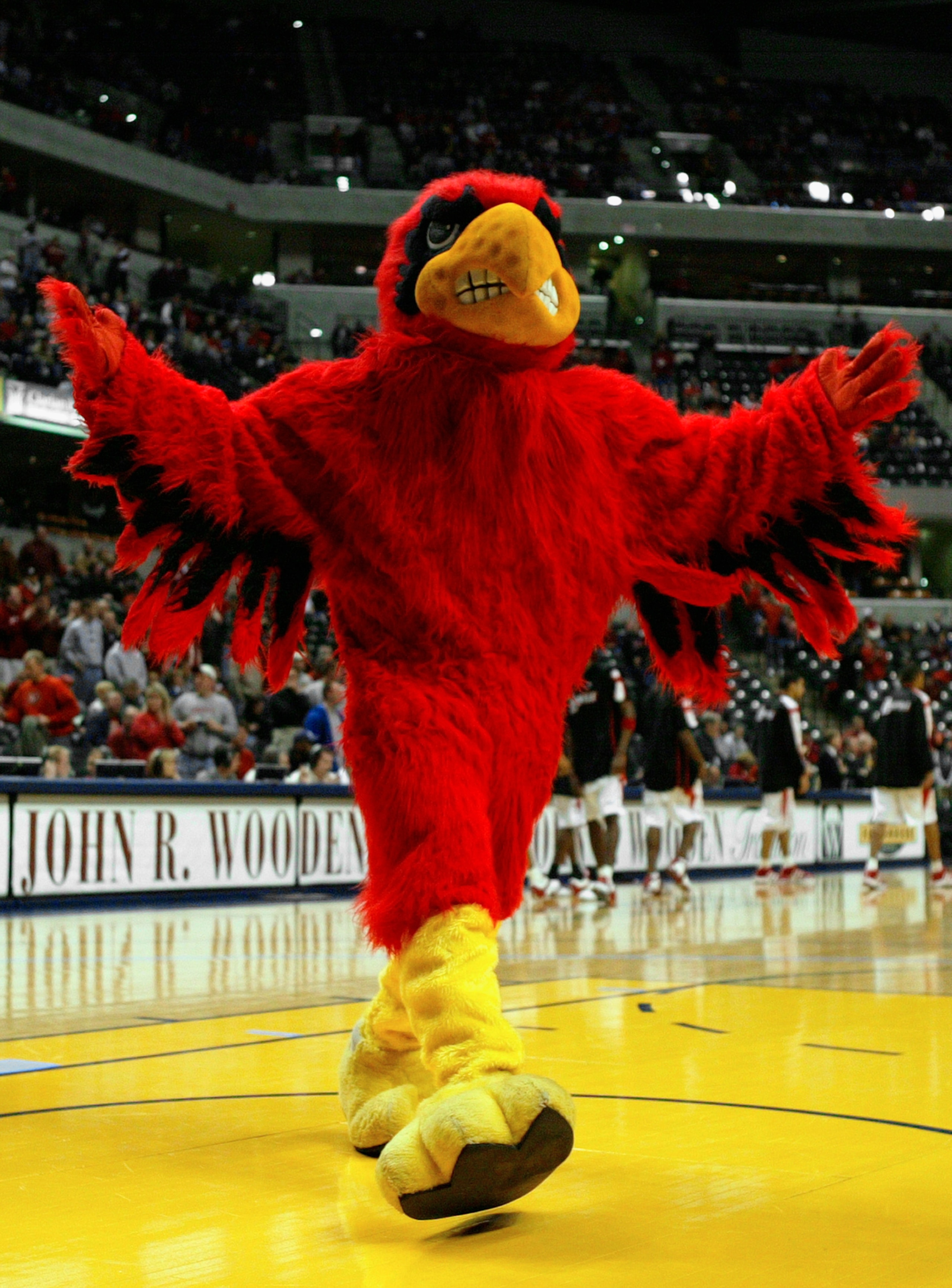 INDIANAPOLIS - NOVEMBER 29: The 'Cardinal Bird,' which is the mascot for the University of Louisville entertains the crowd during the John Wooden Tradition game against Iowa on November29, 2003 at Conseco Fieldhouse in Indianapolis, Indiana. Iowa defeat INDIANAPOLIS - NOVEMBER 29: The 'Cardinal Bird,' which is the mascot for the University of Louisville entertains the crowd during the John Wooden Tradition game against Iowa on November29, 2003 at Conseco Fieldhouse in Indianapolis, Indiana. Iowa defeat
