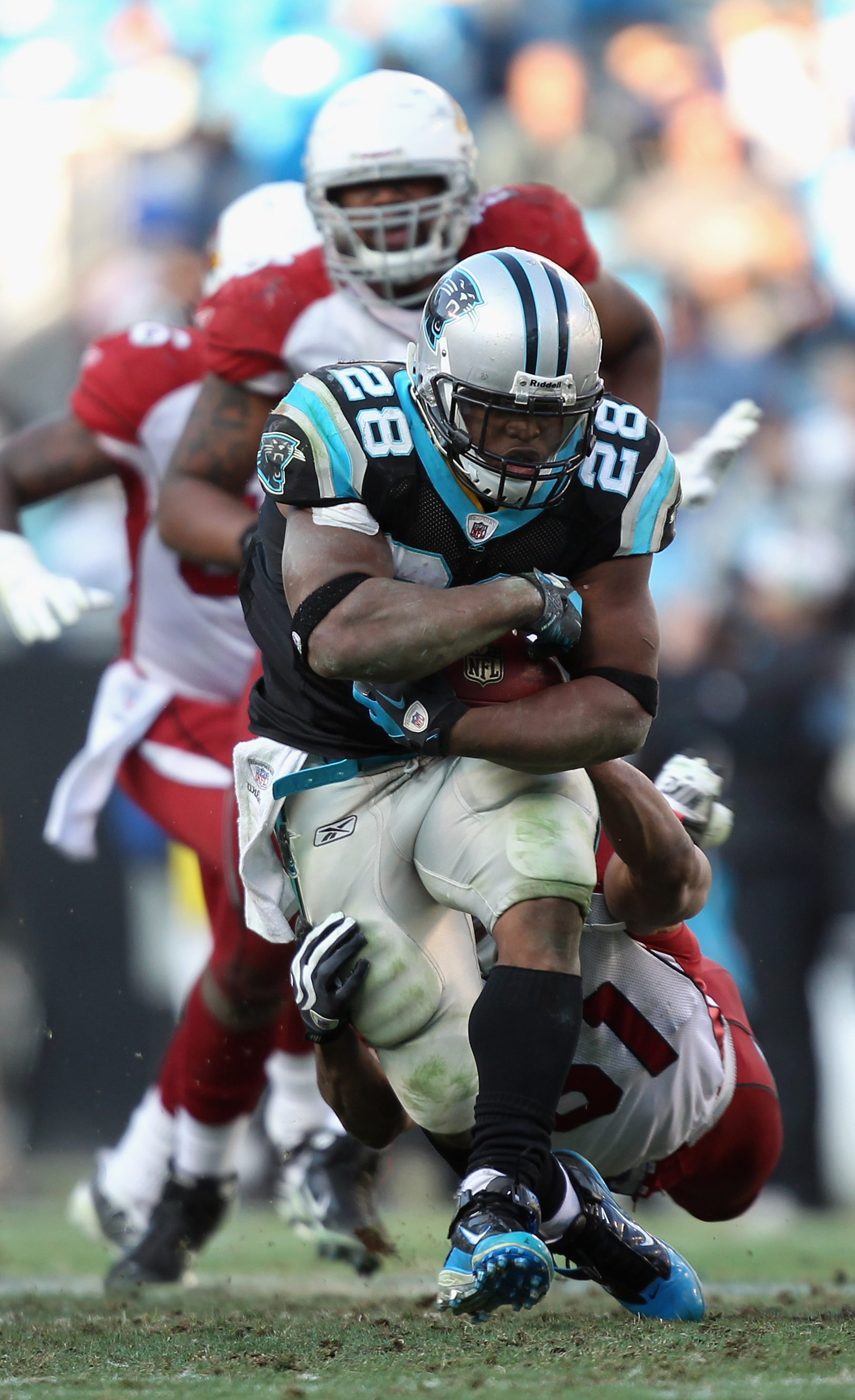 CHARLOTTE, NC - DECEMBER 19: Jonathan Stewart #28 of the Carolina Panthers runs with the ball during their game against the Arizona Cardinals at Bank of America Stadium on December 19, 2010 in Charlotte, North Carolina. (Photo by Streeter Lecka/Getty Im CHARLOTTE, NC - DECEMBER 19: Jonathan Stewart #28 of the Carolina Panthers runs with the ball during their game against the Arizona Cardinals at Bank of America Stadium on December 19, 2010 in Charlotte, North Carolina. (Photo by Streeter Lecka/Getty Im