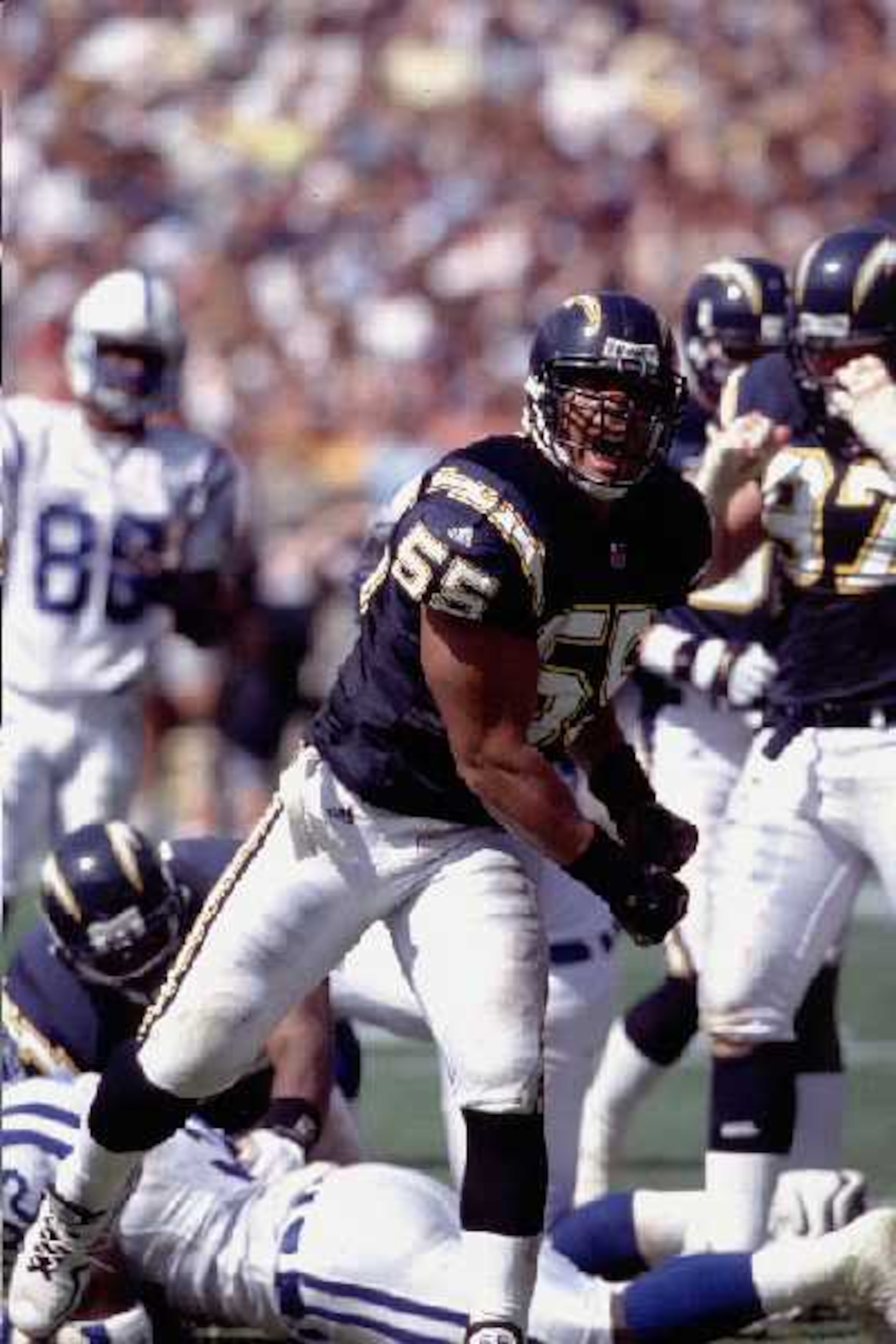 Junior Seau