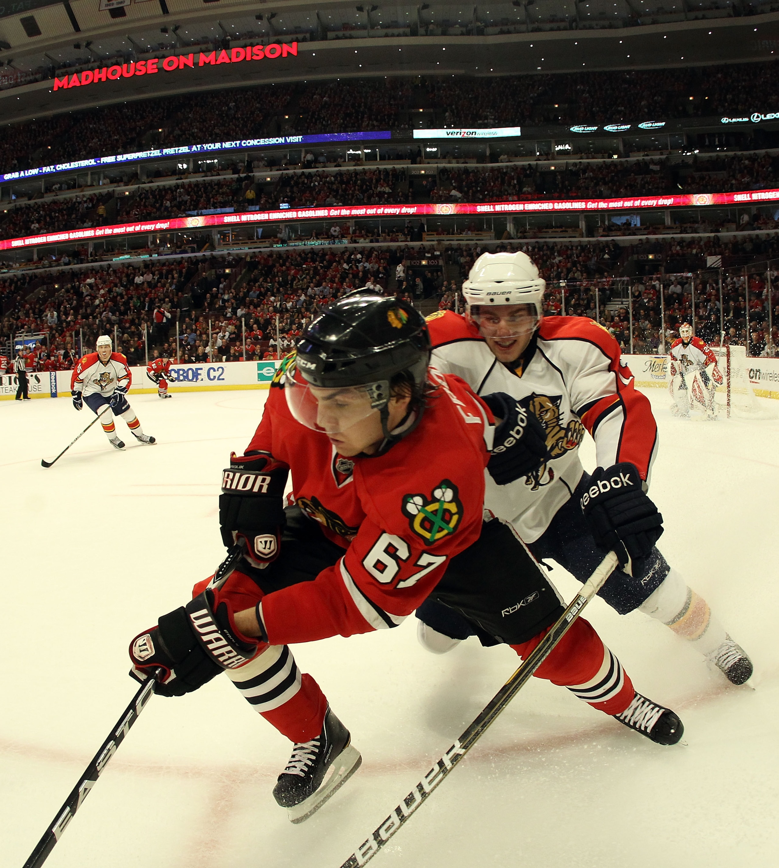CHICAGO, IL - MARCH 23: Michael Frolik #67 of the Chicago Blackhawks skates against the Florida Panthers at the United Center on March 23, 2011 in Chicago, Illinois.  (Photo by Bruce Bennett/Getty Images)