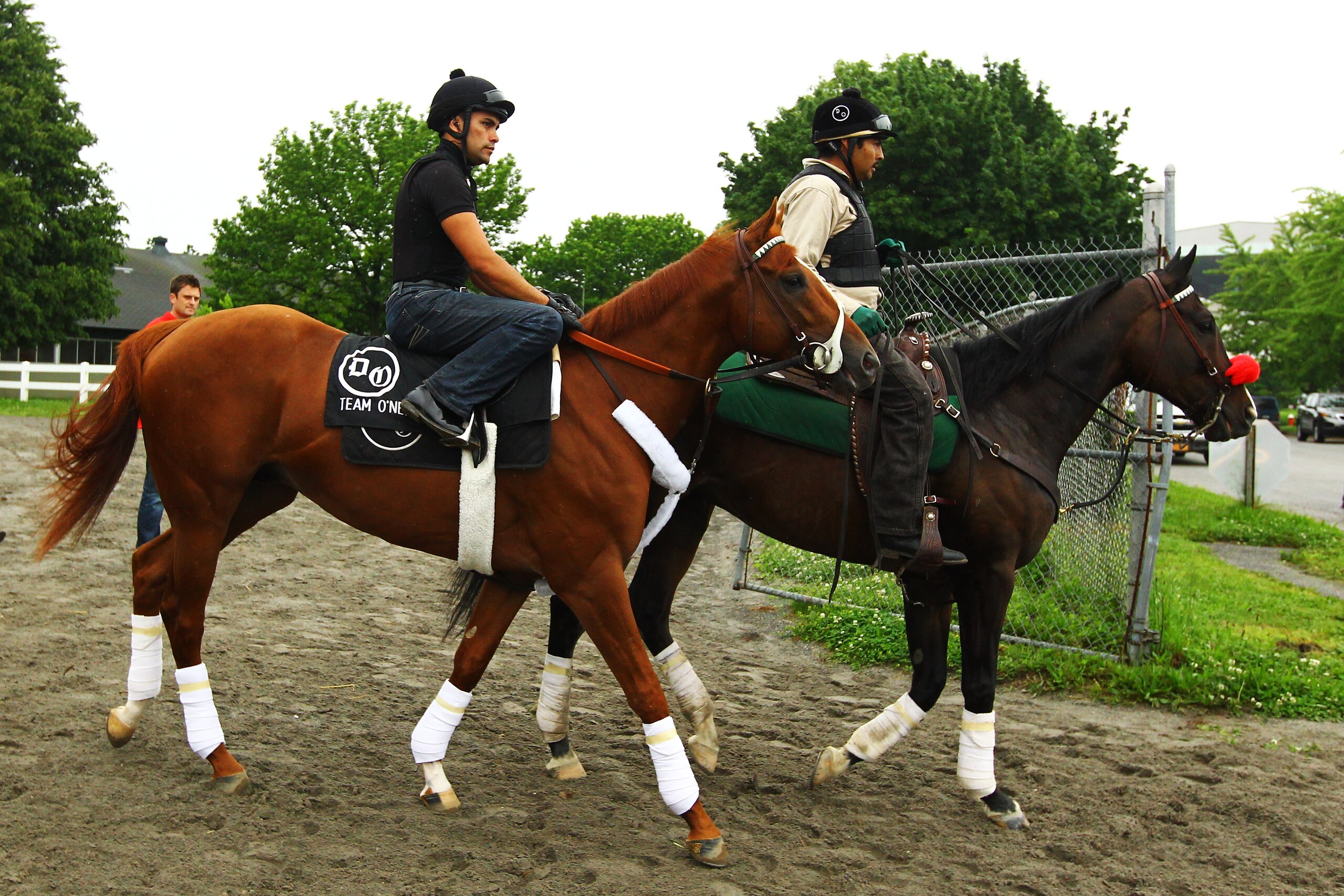 ELMONT, NY - MAY 25: Kentucky Derby, and Preakness winner I'll Have Another is ridden by exercise rider Humberto Gomez at Belmont Park on May 21, 2012 in Elmont, New York. (Photo by Al Bello/Getty Images) ELMONT, NY - MAY 25: Kentucky Derby, and Preakness winner I'll Have Another is ridden by exercise rider Humberto Gomez at Belmont Park on May 21, 2012 in Elmont, New York. (Photo by Al Bello/Getty Images)