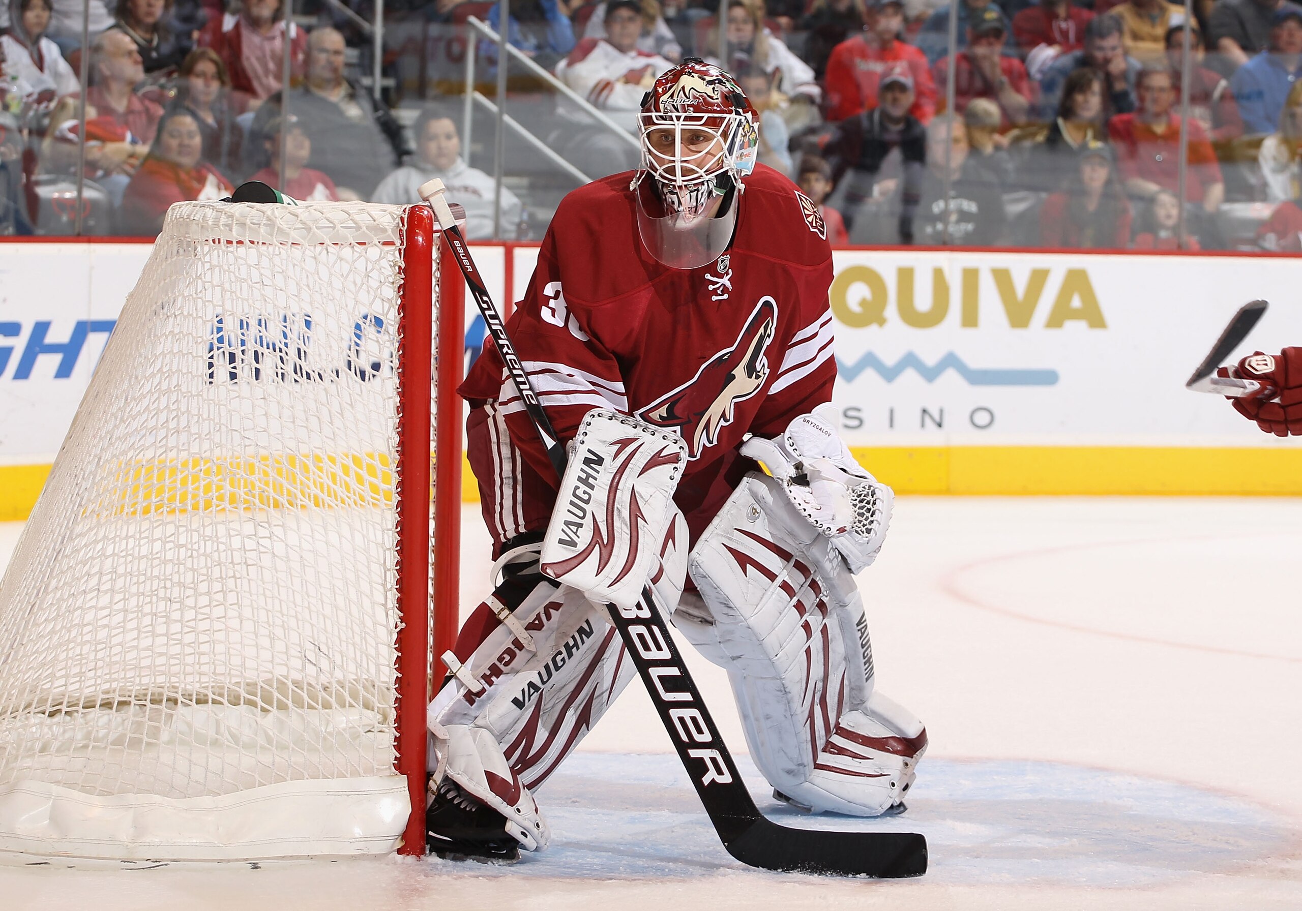 GLENDALE, AZ - MARCH 20:  Goaltender Ilya Bryzgalov #30 of the Phoenix Coyotes during the NHL game against the Chicago Blackhawks at Jobing.com Arena on March 20, 2011 in Glendale, Arizona. The Blackhawks defeated the Coyotes 2-1.  (Photo by Christian Pet
