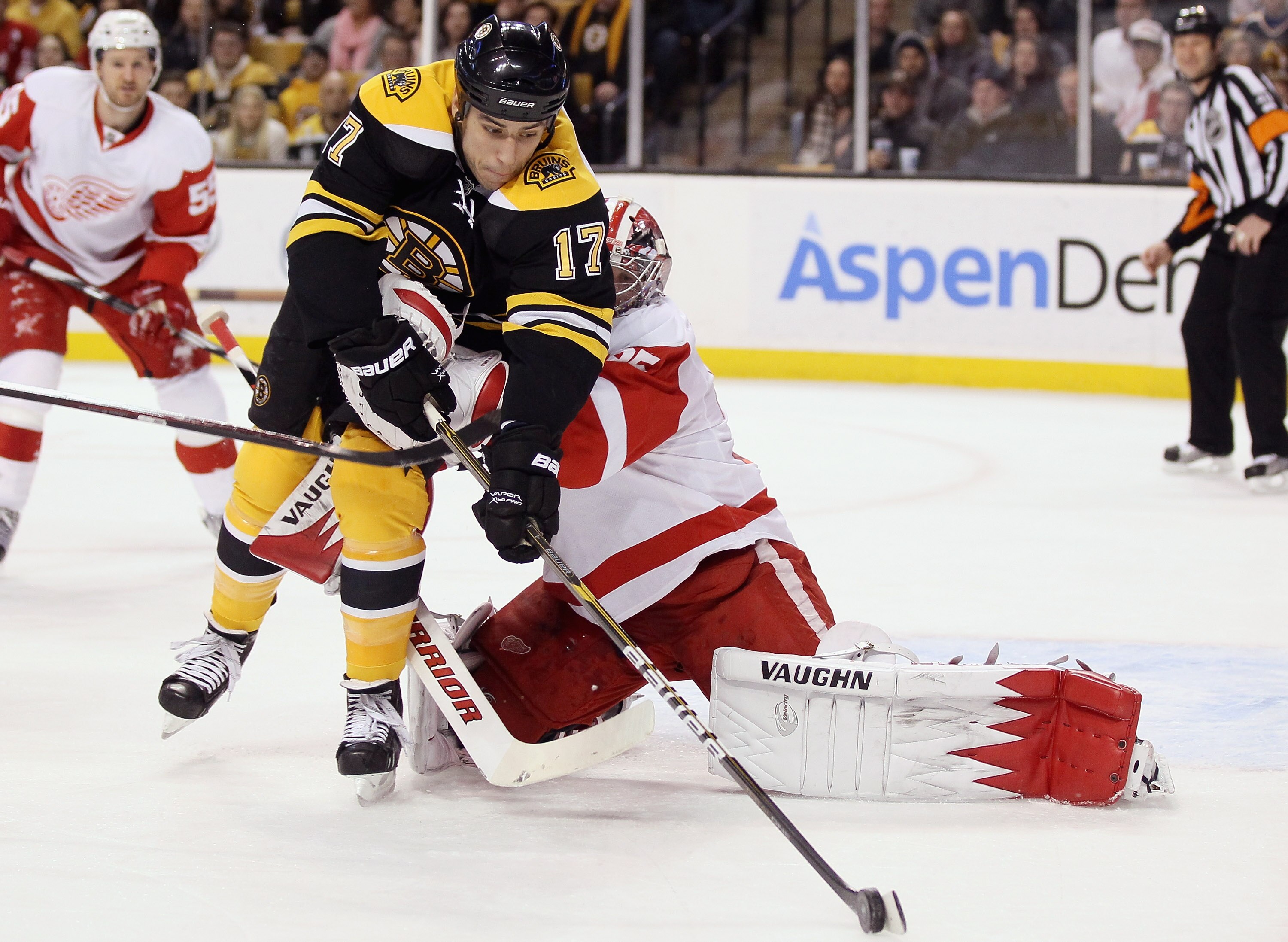 BOSTON, MA - FEBRUARY 11:  Milan Lucic #17 of the Boston Bruins tries to get one past Jimmy Howard #35 of the Detroit Red Wings on February 11, 2011 at the TD Garden in Boston, Massachusetts.  (Photo by Elsa/Getty Images)