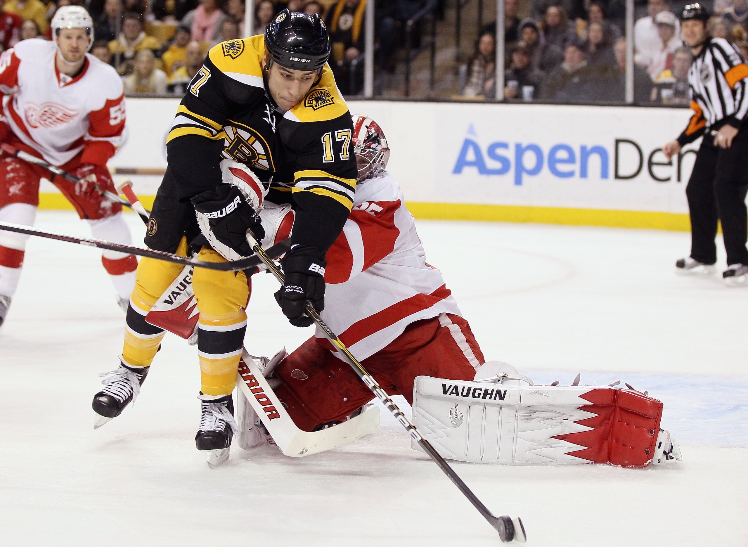 BOSTON, MA - FEBRUARY 11:  Milan Lucic #17 of the Boston Bruins tries to get one past Jimmy Howard #35 of the Detroit Red Wings on February 11, 2011 at the TD Garden in Boston, Massachusetts.  (Photo by Elsa/Getty Images)