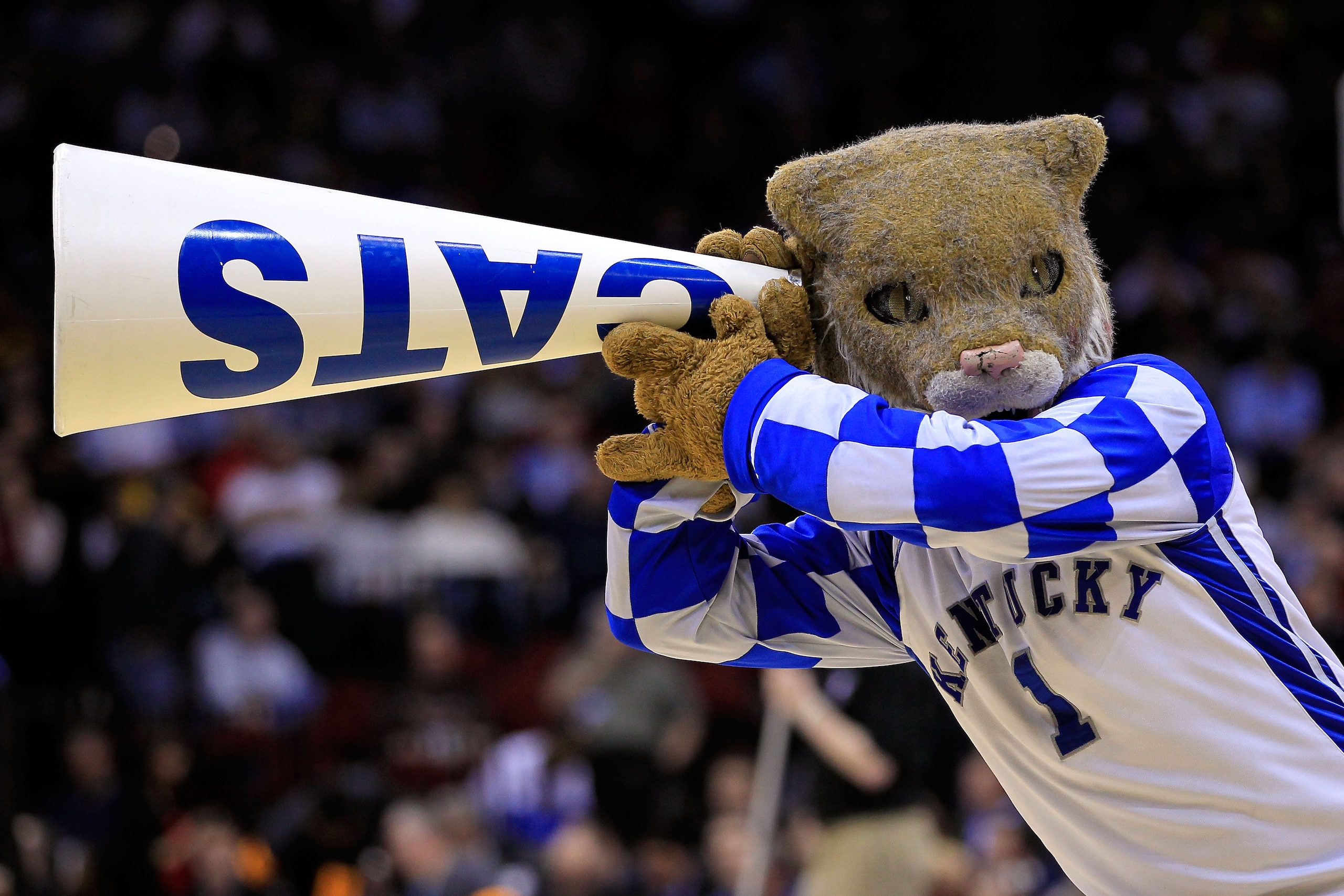 NEWARK, NJ - MARCH 25: The Wildcat, mascot for the Kentucky Wildcats, performs during the east regional semifinal of the 2011 NCAA Men's Basketball Tournament at the Prudential Center on March 25, 2011 in Newark, New Jersey. (Photo by Chris Trotman/Gett NEWARK, NJ - MARCH 25: The Wildcat, mascot for the Kentucky Wildcats, performs during the east regional semifinal of the 2011 NCAA Men's Basketball Tournament at the Prudential Center on March 25, 2011 in Newark, New Jersey. (Photo by Chris Trotman/Gett