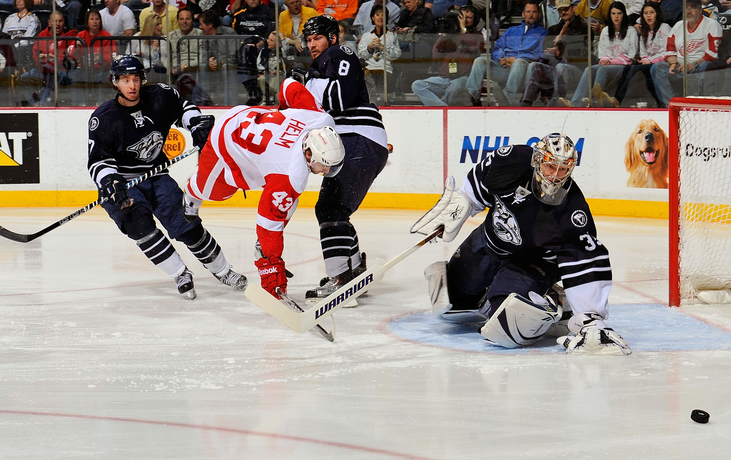 NASHVILLE, TN - MARCH 19:  Darren Helm #43 of the Detroit Red Wings flies through the air between Jonathon Blum #7 and Kevin Klein #8 of the Nashville Predators and towards Predators goalie Pekka Rinne #35 on March 19, 2011 at the Bridgestone Arena in Nas