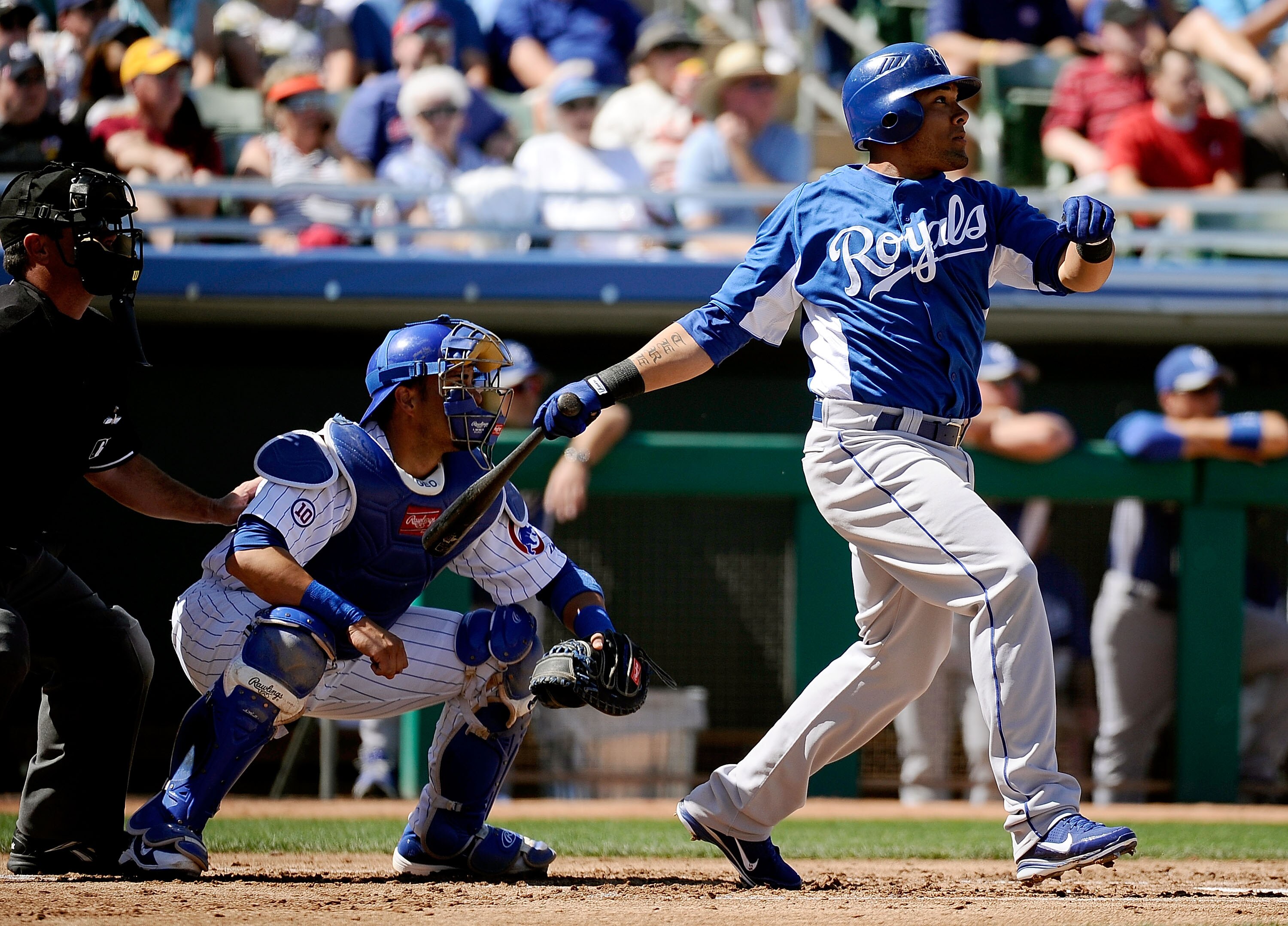 MESA, AZ - MARCH 09:  Melky Cabrera #53 of the Kansas City Royals at bat against the Chicago Cubs during the spring training baseball game at HoHoKam Stadium on March 9, 2011 in Mesa, Arizona.  (Photo by Kevork Djansezian/Getty Images)