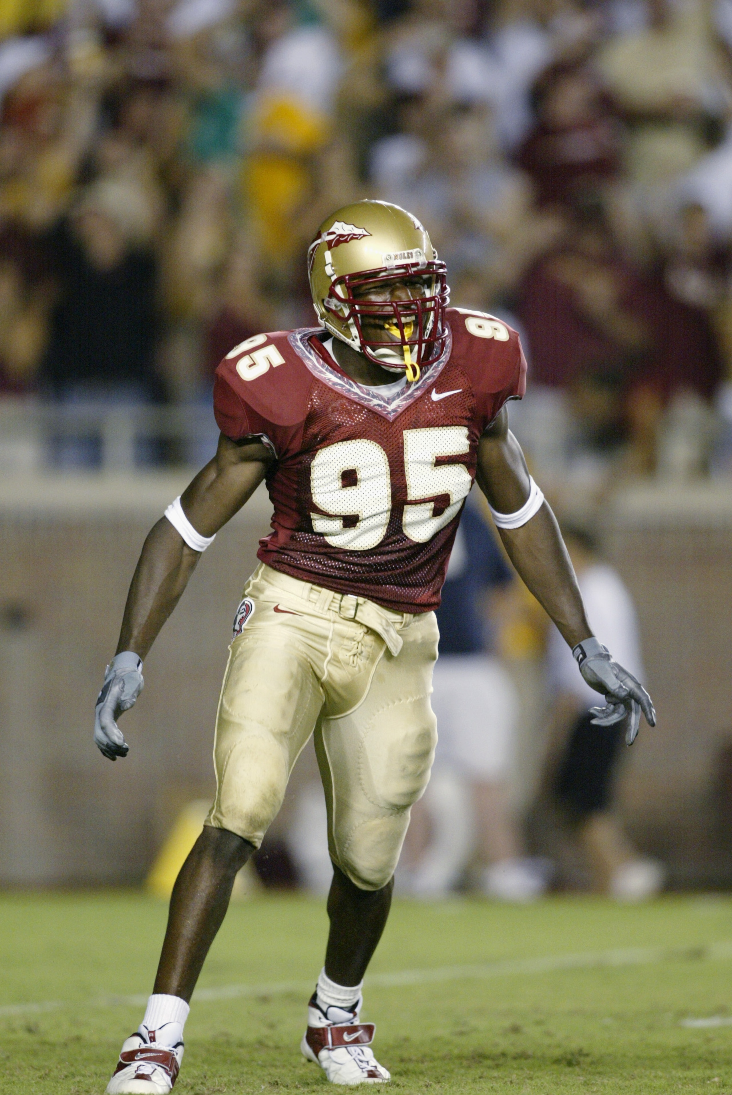 TALLAHASSEE, FL - OCTOBER 3:  Defensive end Kamerion Wimbley #95 of the Florida State Seminoles celebrates during the Atlantic Coast Conference football game against the Clemson Tigers on October 3, 2002 at Doak Campbell Stadium in Tallahassee, Florida.