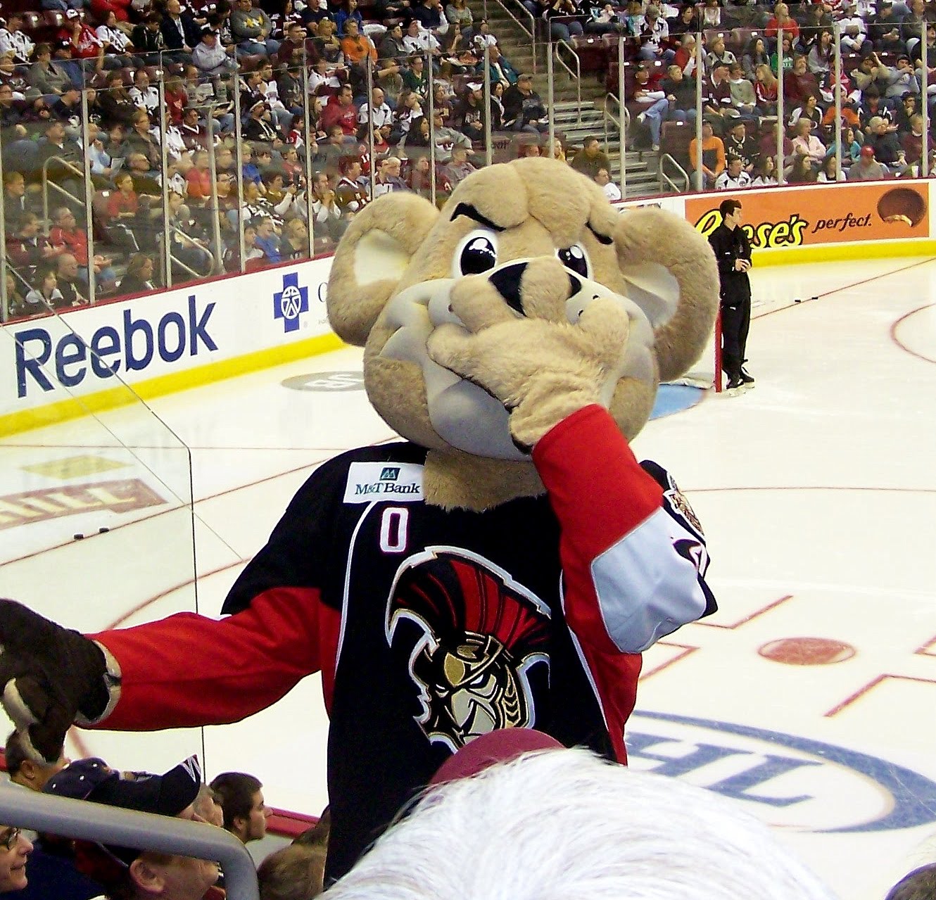 NHL Power Rankings: 25 Greatest AHL Mascots, News, Scores, Highlights,  Stats, and Rumors