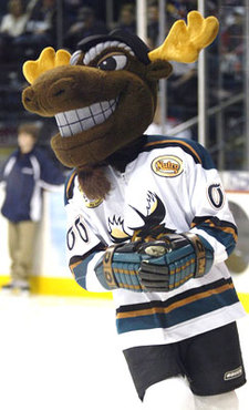 NHL Power Rankings: 25 Greatest AHL Mascots