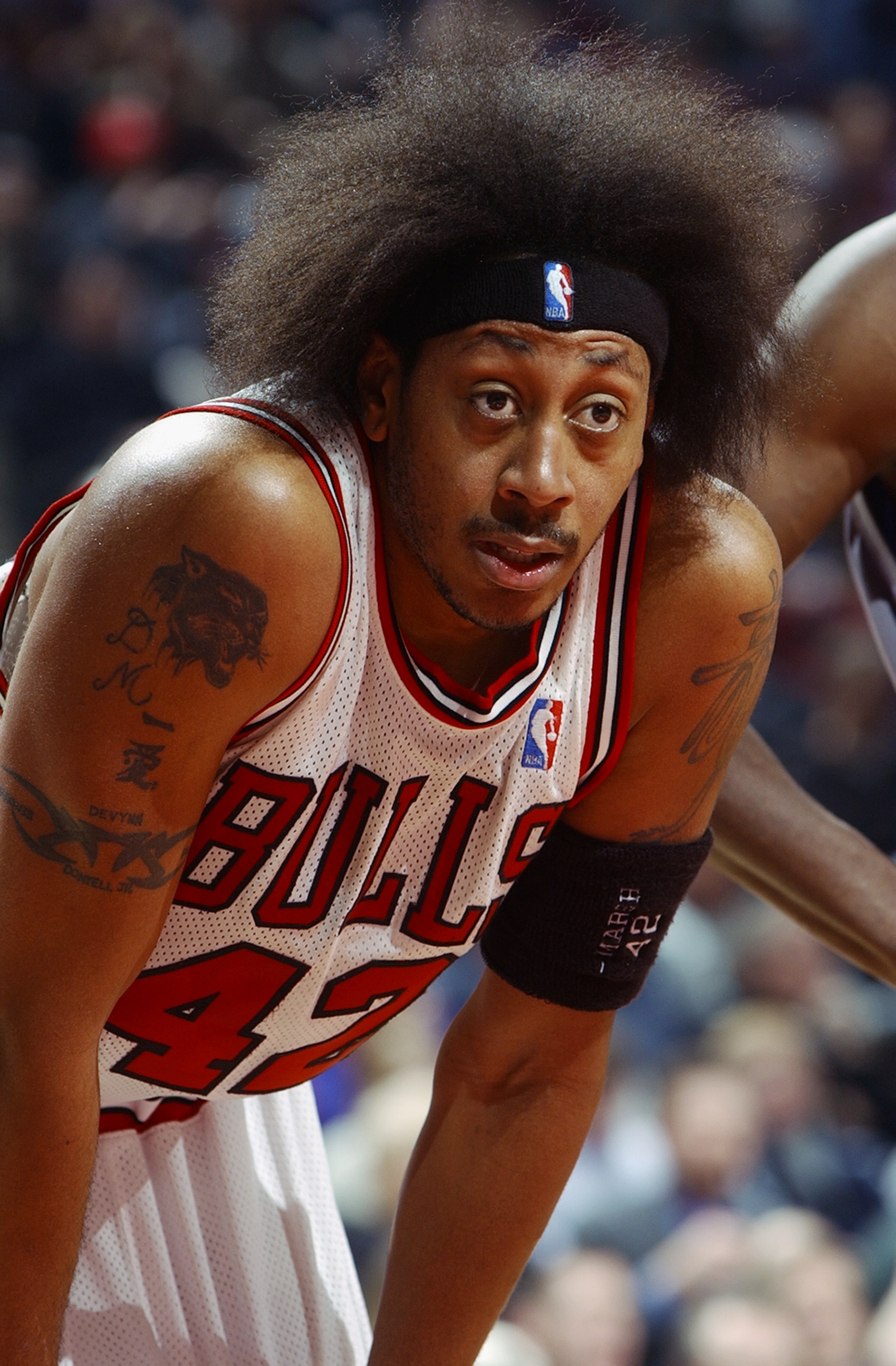 CHICAGO - FEBRUARY 24: Donyell Marshall#42 of the Chicago Bulls pauses for a moment during the game against of the Phoenix Suns during the game at United Center on February 24, 2003 in Chicago, Illinois. The Bulls won 90-87. NOTE TO USER: User expressl CHICAGO - FEBRUARY 24: Donyell Marshall#42 of the Chicago Bulls pauses for a moment during the game against of the Phoenix Suns during the game at United Center on February 24, 2003 in Chicago, Illinois. The Bulls won 90-87. NOTE TO USER: User expressl