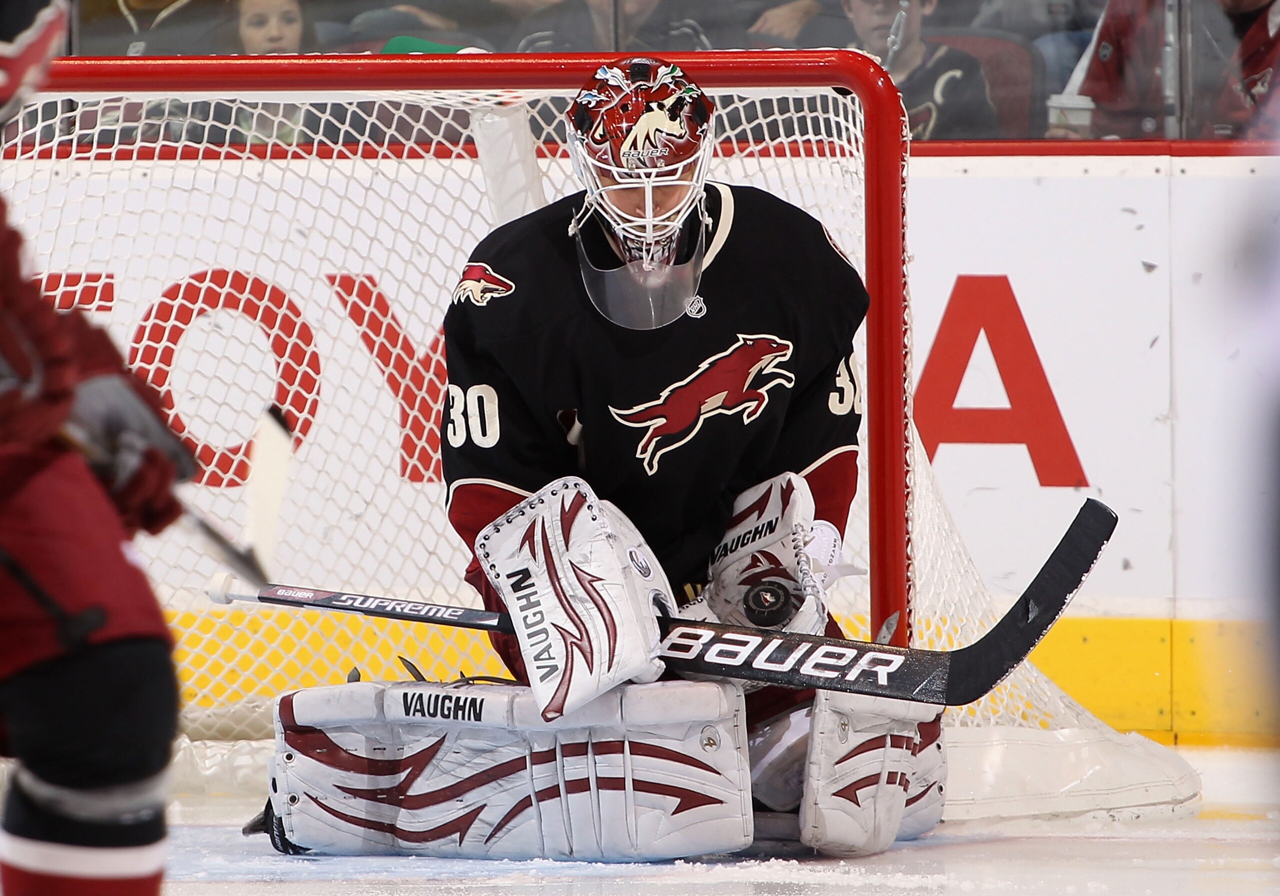 GLENDALE, AZ - MARCH 29: Goaltender Ilya Bryzgalov #30 of the Phoenix Coyotes makes a glove save on the shot from the Dallas Stars during the first period of the NHL game at Jobing.com Arena on March 29, 2011 in Glendale, Arizona. (Photo by Christian Pe GLENDALE, AZ - MARCH 29: Goaltender Ilya Bryzgalov #30 of the Phoenix Coyotes makes a glove save on the shot from the Dallas Stars during the first period of the NHL game at Jobing.com Arena on March 29, 2011 in Glendale, Arizona. (Photo by Christian Pe