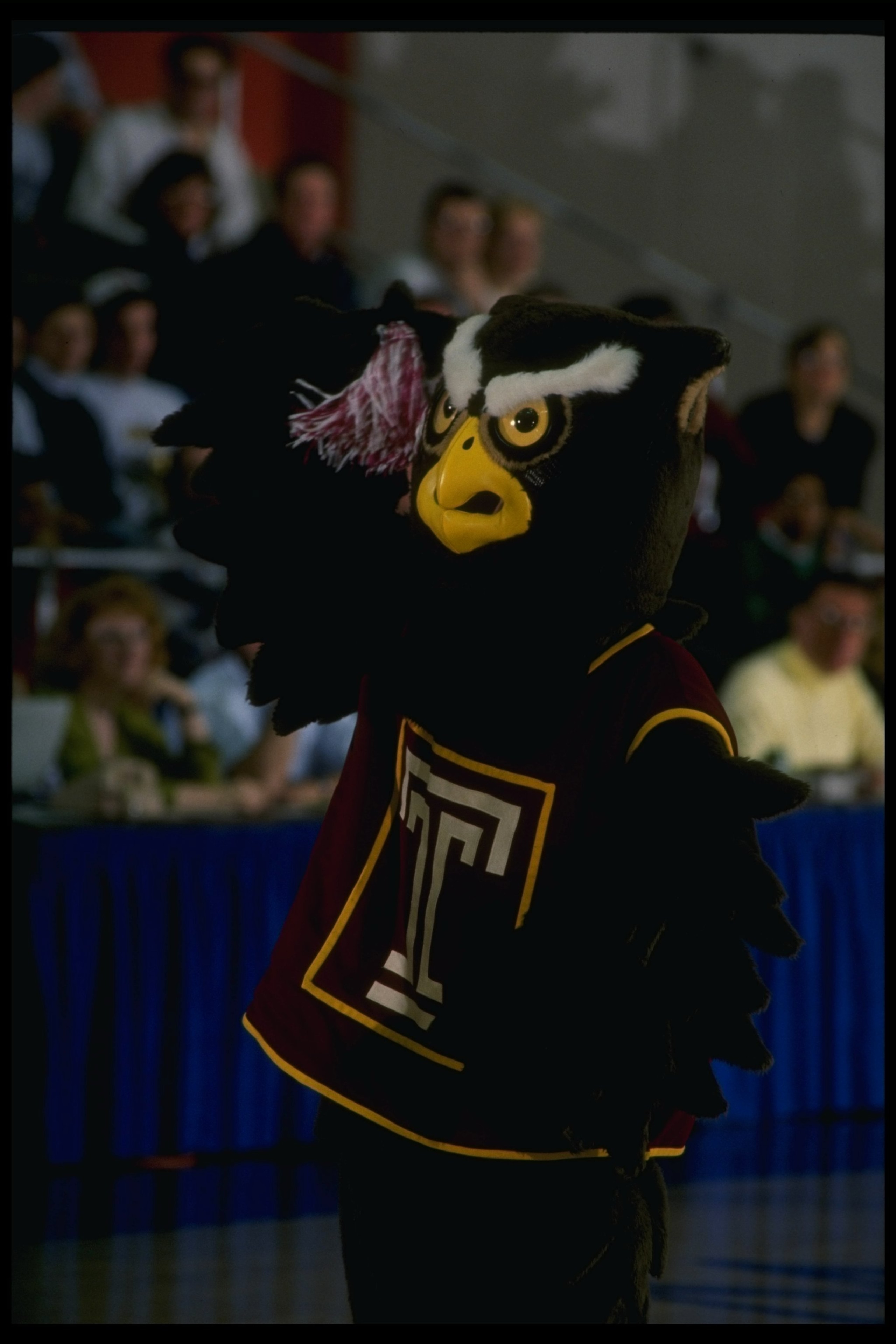 1 Jan 1991: Temple Owls mascot looks on during a game against the George Washington University Colonials played at the Charles E. Smith Center in Washington, D.C. Mandatory Credit: Doug Pensinger /Allsport 1 Jan 1991: Temple Owls mascot looks on during a game against the George Washington University Colonials played at the Charles E. Smith Center in Washington, D.C. Mandatory Credit: Doug Pensinger /Allsport