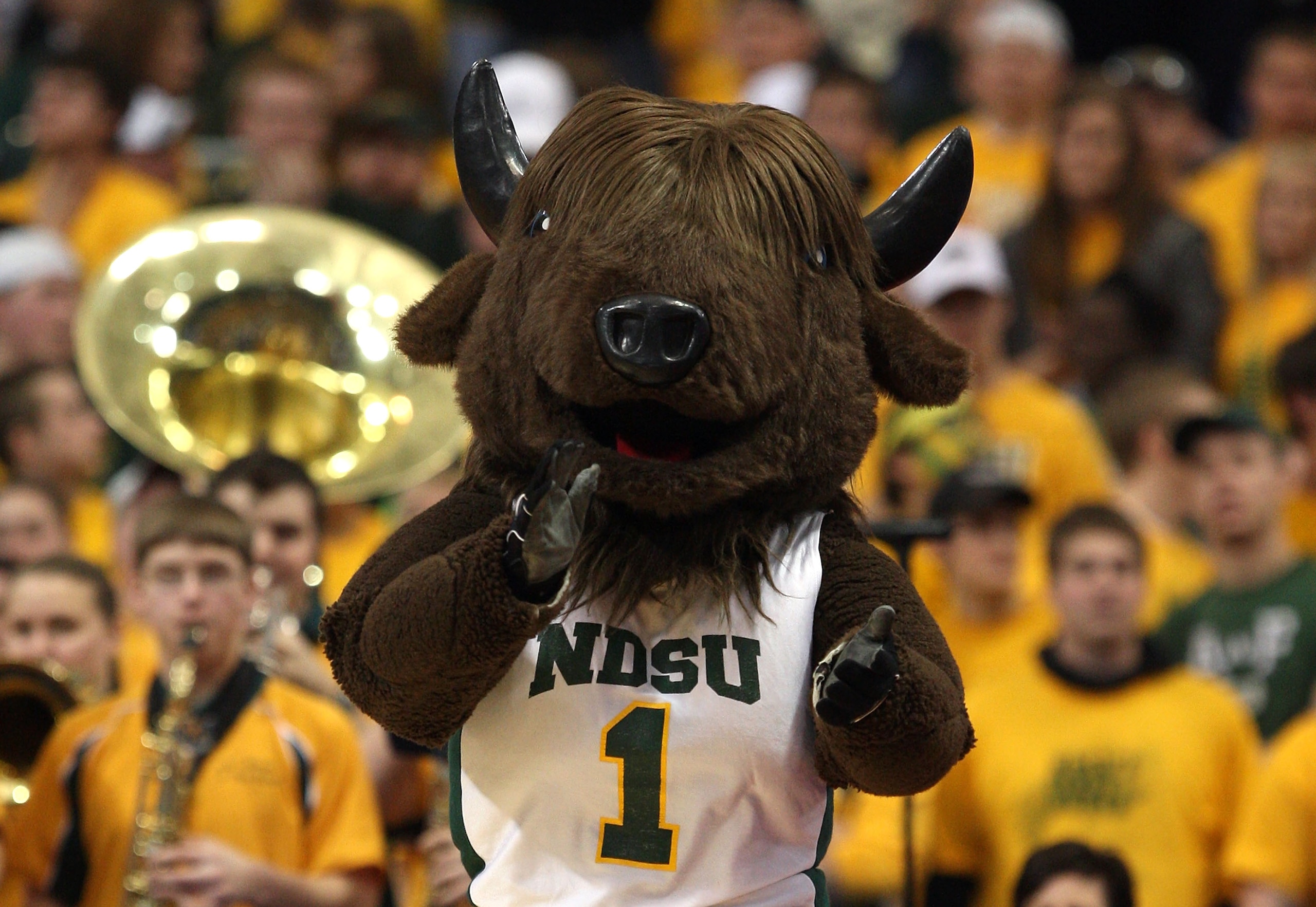 MINNEAPOLIS - MARCH 20: Thundar, the mascot of the North Dakota State Bison, performs against the Kansas Jayhawks during the first round of the NCAA Division I Men's Basketball Tournament at the Hubert H. Humphrey Metrodome on March 20, 2009 in Minneapo MINNEAPOLIS - MARCH 20: Thundar, the mascot of the North Dakota State Bison, performs against the Kansas Jayhawks during the first round of the NCAA Division I Men's Basketball Tournament at the Hubert H. Humphrey Metrodome on March 20, 2009 in Minneapo