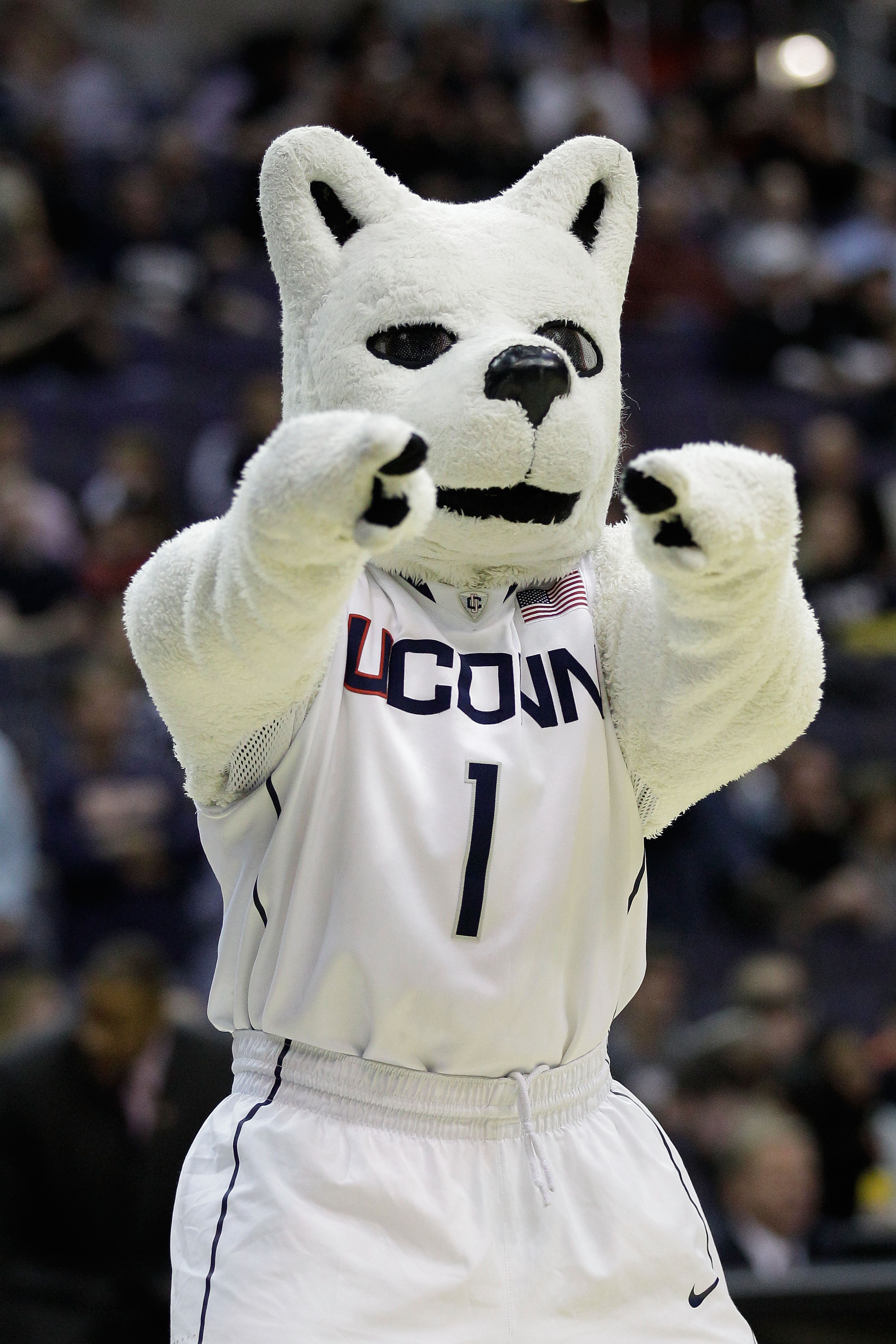 WASHINGTON - MARCH 19:  The Connecticut Huskies mascot performs during their game against the Cincinnati Bearcats during the third round of the 2011 NCAA men's basketball tournament at Verizon Center on March 19, 2011 in Washington, DC.  (Photo by Rob Car