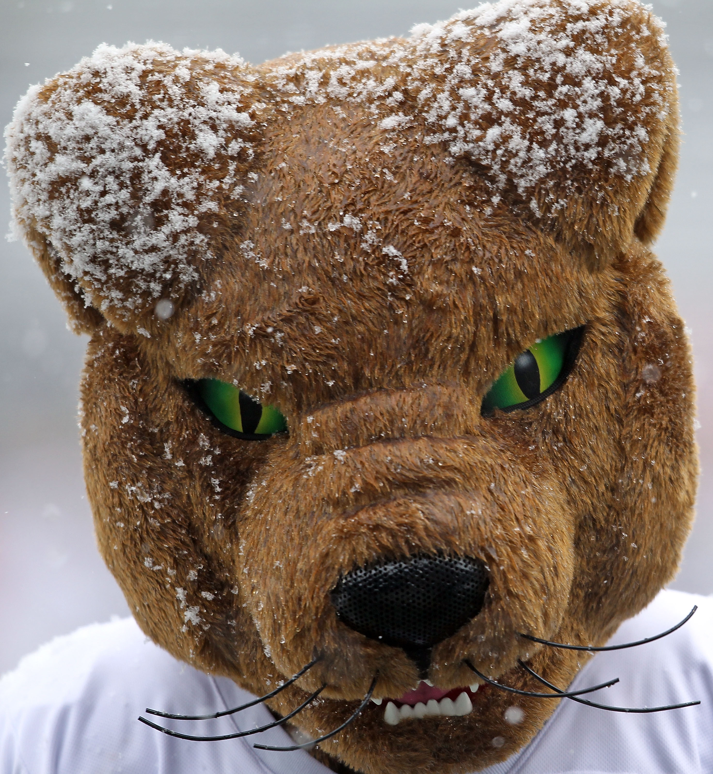 CINCINNATI, OH - DECEMBER 04: The Pittsburg mascot is pictured covered in snow during the Big East Conference game between the the Pittsburgh Panthers and the Cincinnati Bearcats at Nippert Stadium on December 4, 2010 in Cincinnati, Ohio. (Photo by Andy