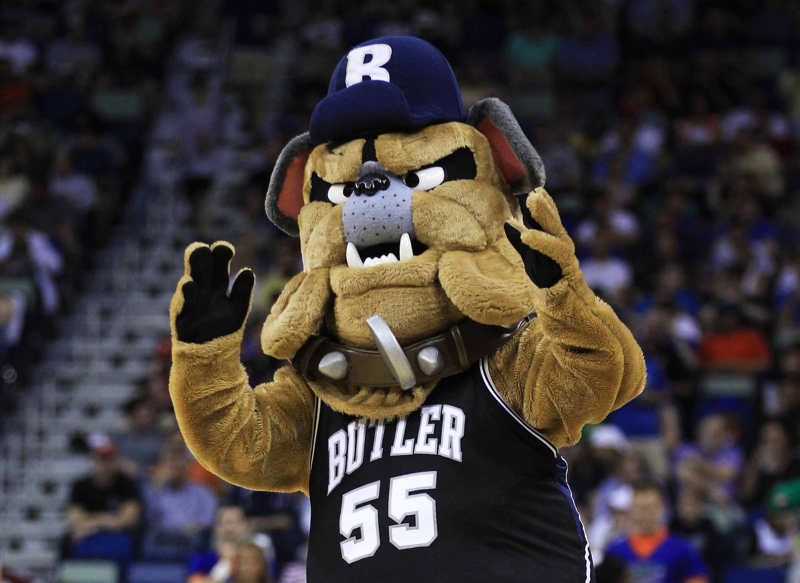 NEW ORLEANS, LA - MARCH 26: The Butler Bulldogs mascot performs during their game against the Florida Gators the Southeast regional final of the 2011 NCAA men's basketball tournament at New Orleans Arena on March 26, 2011 in New Orleans, Louisiana. (Pho NEW ORLEANS, LA - MARCH 26: The Butler Bulldogs mascot performs during their game against the Florida Gators the Southeast regional final of the 2011 NCAA men's basketball tournament at New Orleans Arena on March 26, 2011 in New Orleans, Louisiana. (Pho