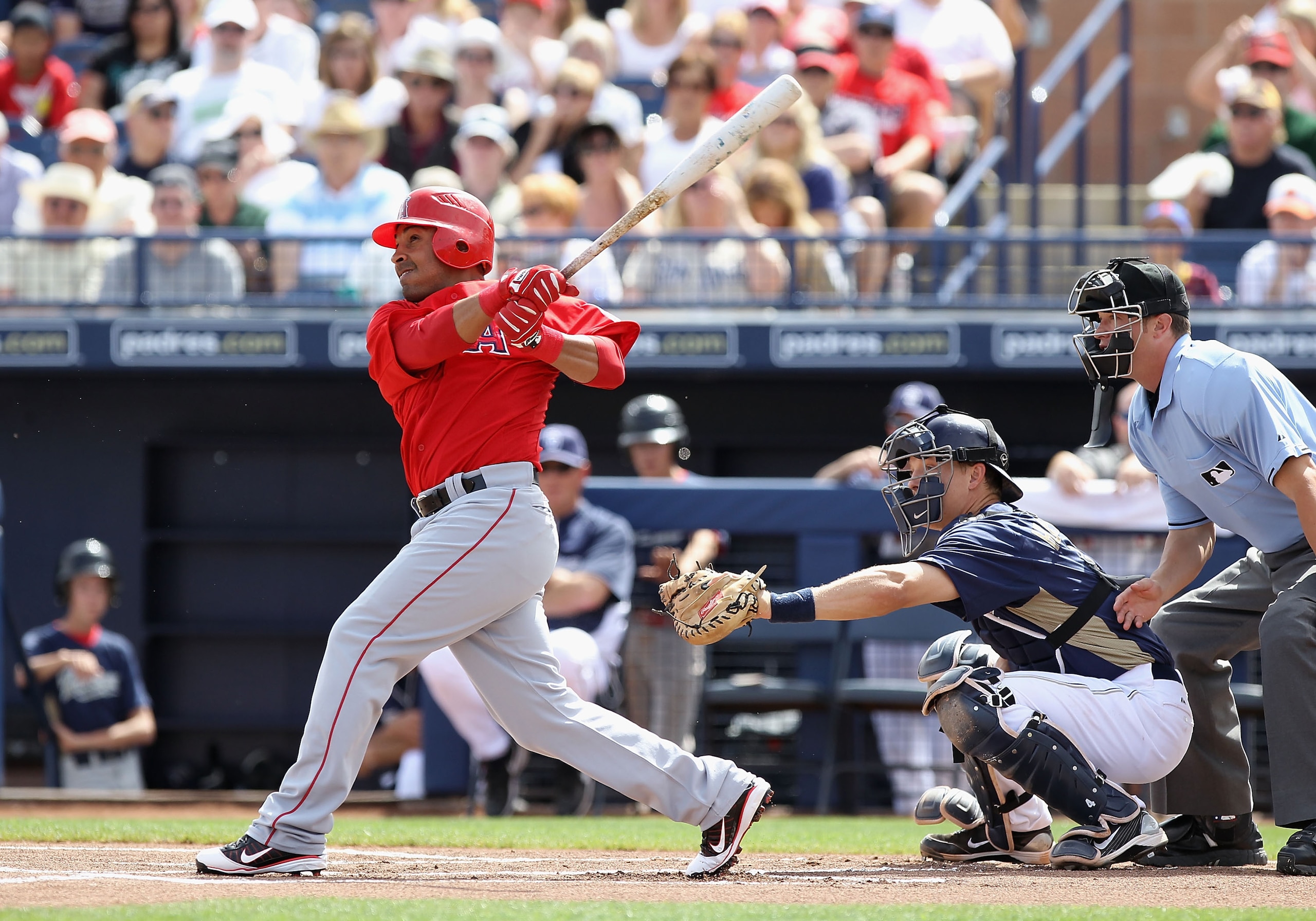 PEORIA, AZ - MARCH 15:  Maicer Izturis #13 of the Los Angeles Angels of Anaheim bats against the San Diego Padres during the spring training game at Peoria Stadium on March 15, 2011 in Peoria, Arizona.  (Photo by Christian Petersen/Getty Images)
