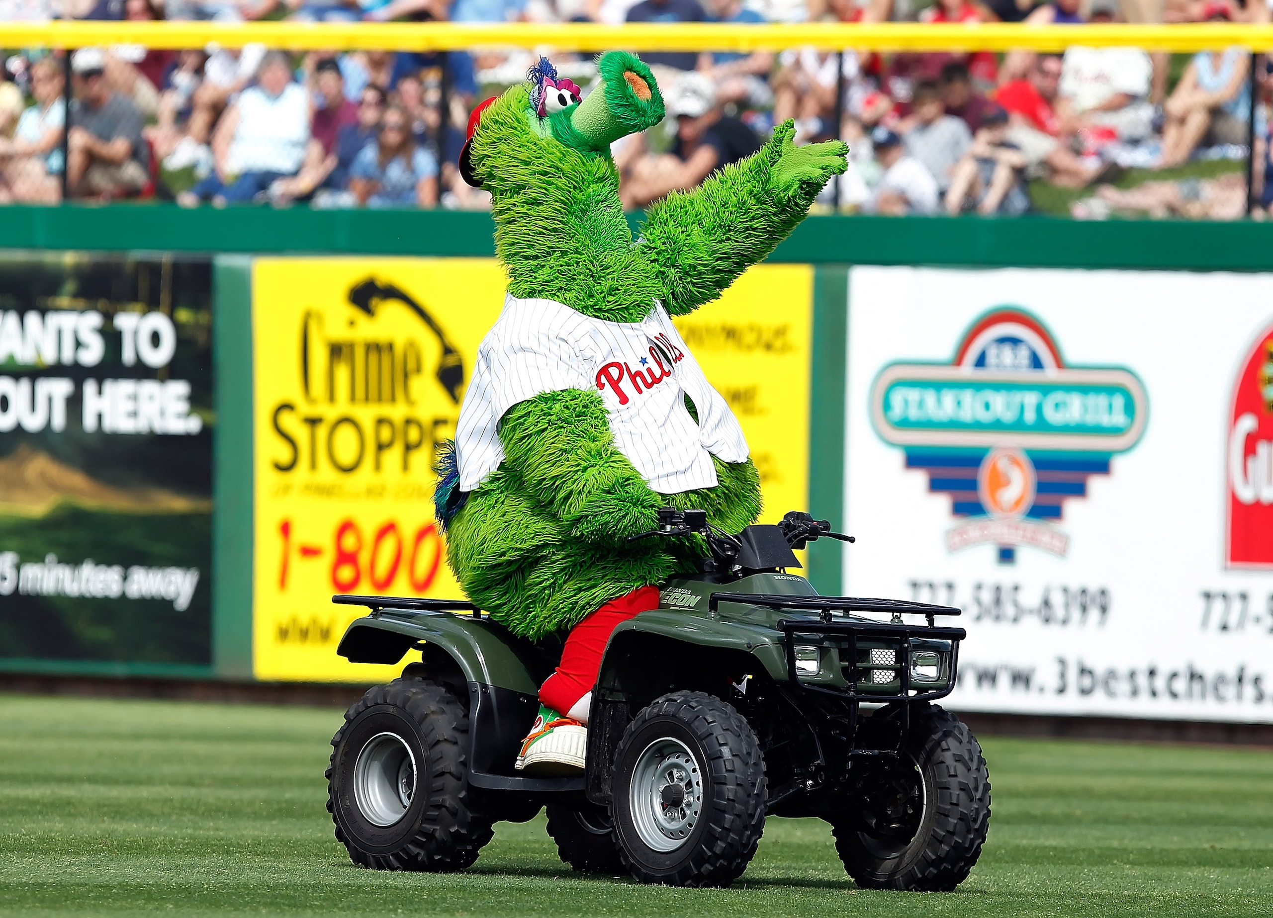 CLEARWATER, FL - MARCH 06: The mascot of the Philadelphia Phillies, the Philly Phanatic, cheers on the crowd during a Grapefruit League Spring Training Game against the Tampa Bay Rays at Bright House Field on March 6, 2011 in Sarasota, Florida. (Photo b CLEARWATER, FL - MARCH 06: The mascot of the Philadelphia Phillies, the Philly Phanatic, cheers on the crowd during a Grapefruit League Spring Training Game against the Tampa Bay Rays at Bright House Field on March 6, 2011 in Sarasota, Florida. (Photo b