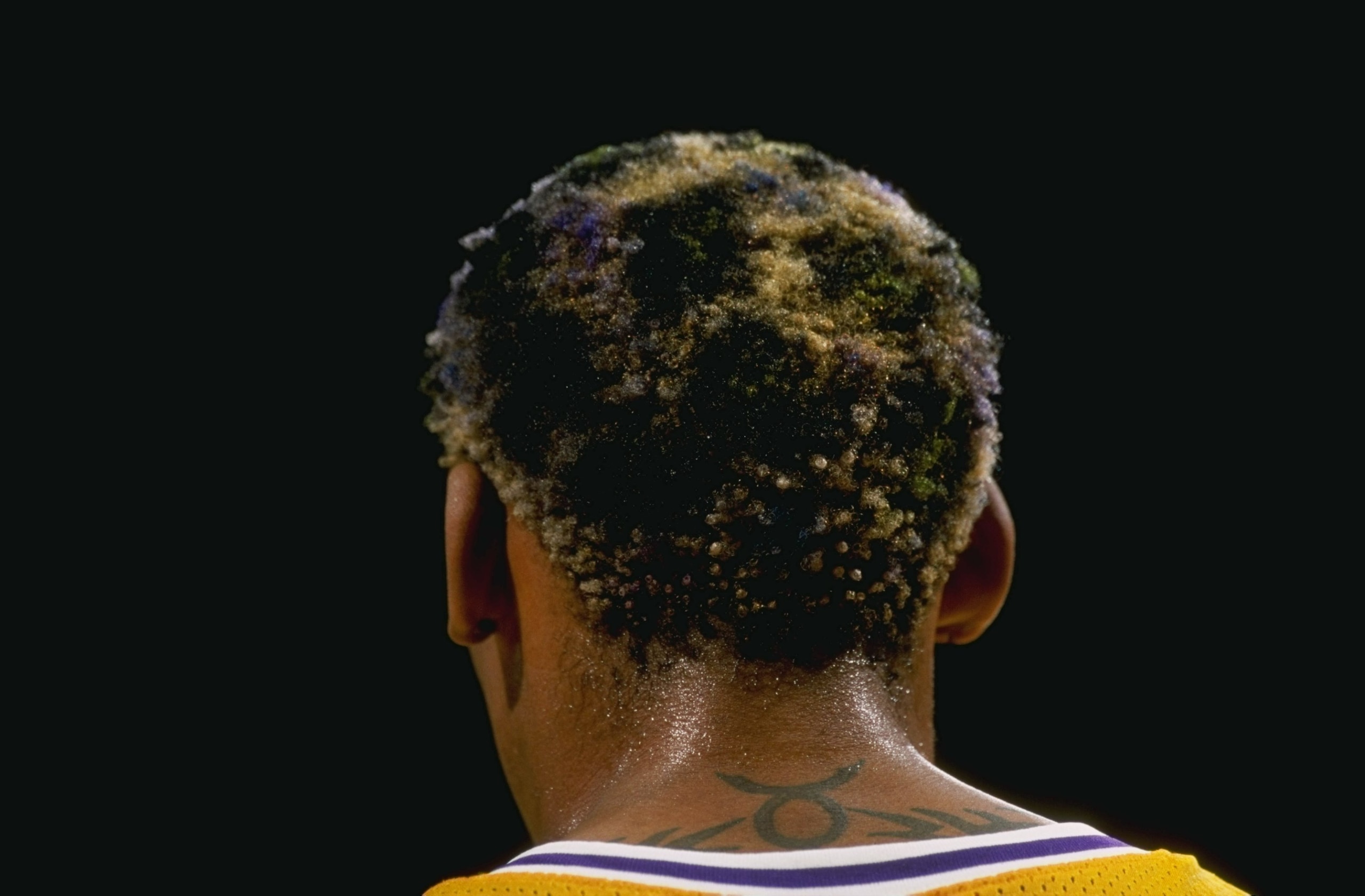 3 Mar 1999:  A close up of the hair of Dennins Rodman #73 of the Los Angeles Lakers during the game against the Phoenix Suns at the Great Western Forum in Inglewood, California. The Lakers defeated the Suns 101-95.