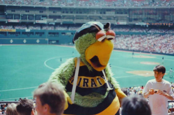 Pirate Parrot benched? Mascots wonder why they're banned from MLB