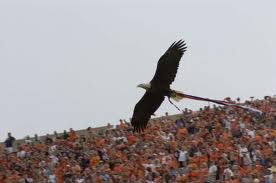 The 50 Greatest Traditions In College Football 