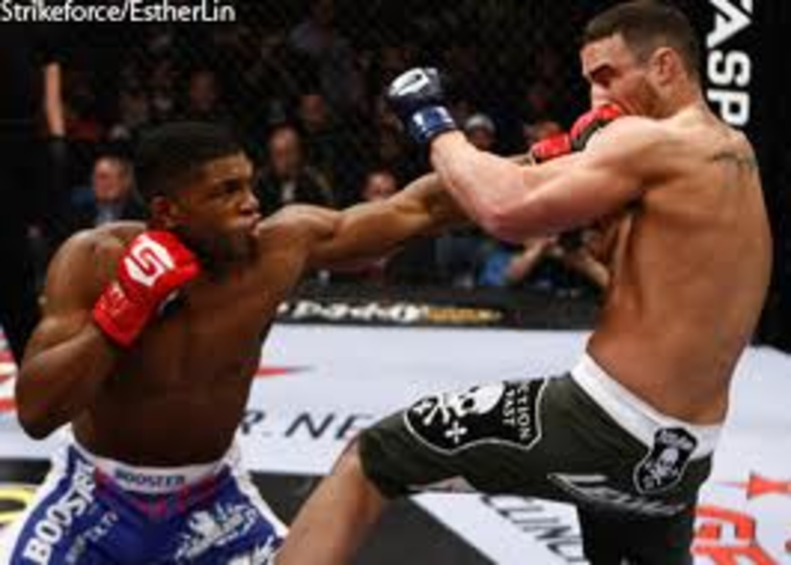 Paul Daley landing a stiff jab on Scott Smith