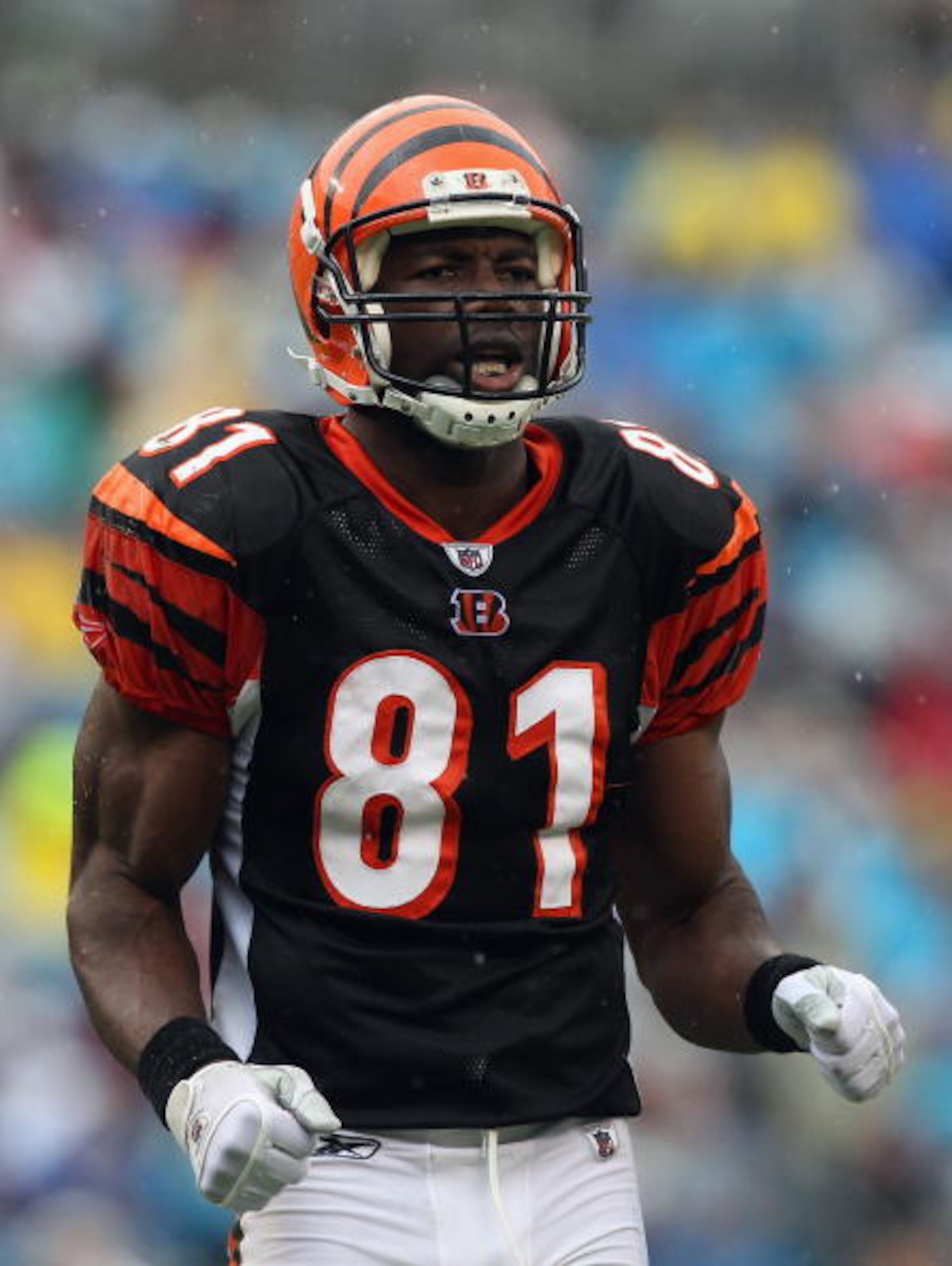 CHARLOTTE, NC - SEPTEMBER 26:  Terrell Owens #81 of the Cincinnati Bengals against the Carolina Panthers during their game at Bank of America Stadium on September 26, 2010 in Charlotte, North Carolina.  (Photo by Streeter Lecka/Getty Images)