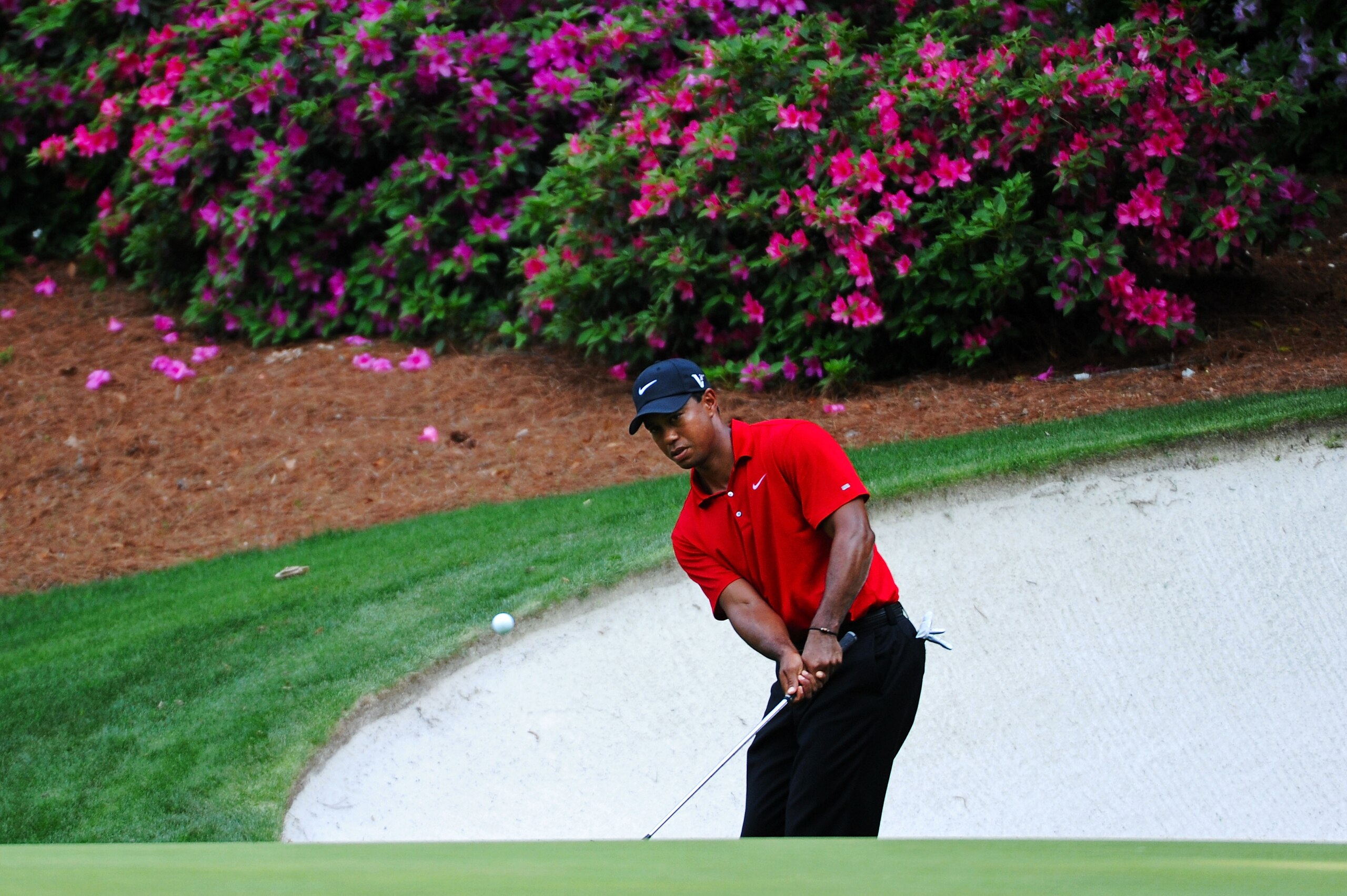 AUGUSTA, GA - APRIL 10: Tiger Woods chips to the 13th green during the final round of the 2011 Masters Tournament at Augusta National Golf Club on April 10, 2011 in Augusta, Georgia. (Photo by Harry How/Getty Images) AUGUSTA, GA - APRIL 10: Tiger Woods chips to the 13th green during the final round of the 2011 Masters Tournament at Augusta National Golf Club on April 10, 2011 in Augusta, Georgia. (Photo by Harry How/Getty Images)
