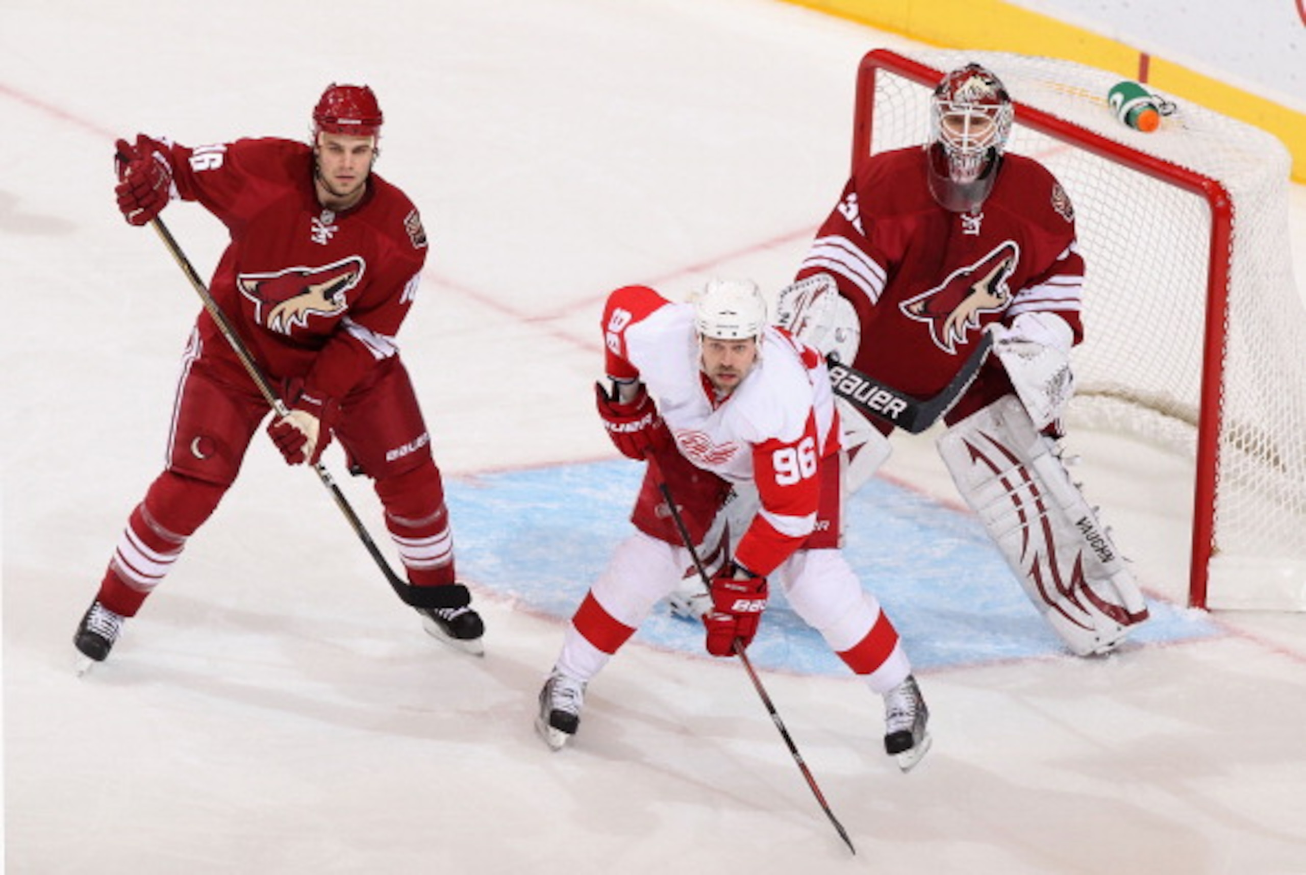 GLENDALE, AZ - MARCH 05: Tomas Holmstrom #96 of the Detroit Red Wings sets up in front of goaltender Ilya Bryzgalov #30 of the Phoenix Coyotes during the NHL game at Jobing.com Arena on March 5, 2011 in Glendale, Arizona. The Coyotes defeated the Red Win GLENDALE, AZ - MARCH 05: Tomas Holmstrom #96 of the Detroit Red Wings sets up in front of goaltender Ilya Bryzgalov #30 of the Phoenix Coyotes during the NHL game at Jobing.com Arena on March 5, 2011 in Glendale, Arizona. The Coyotes defeated the Red Win