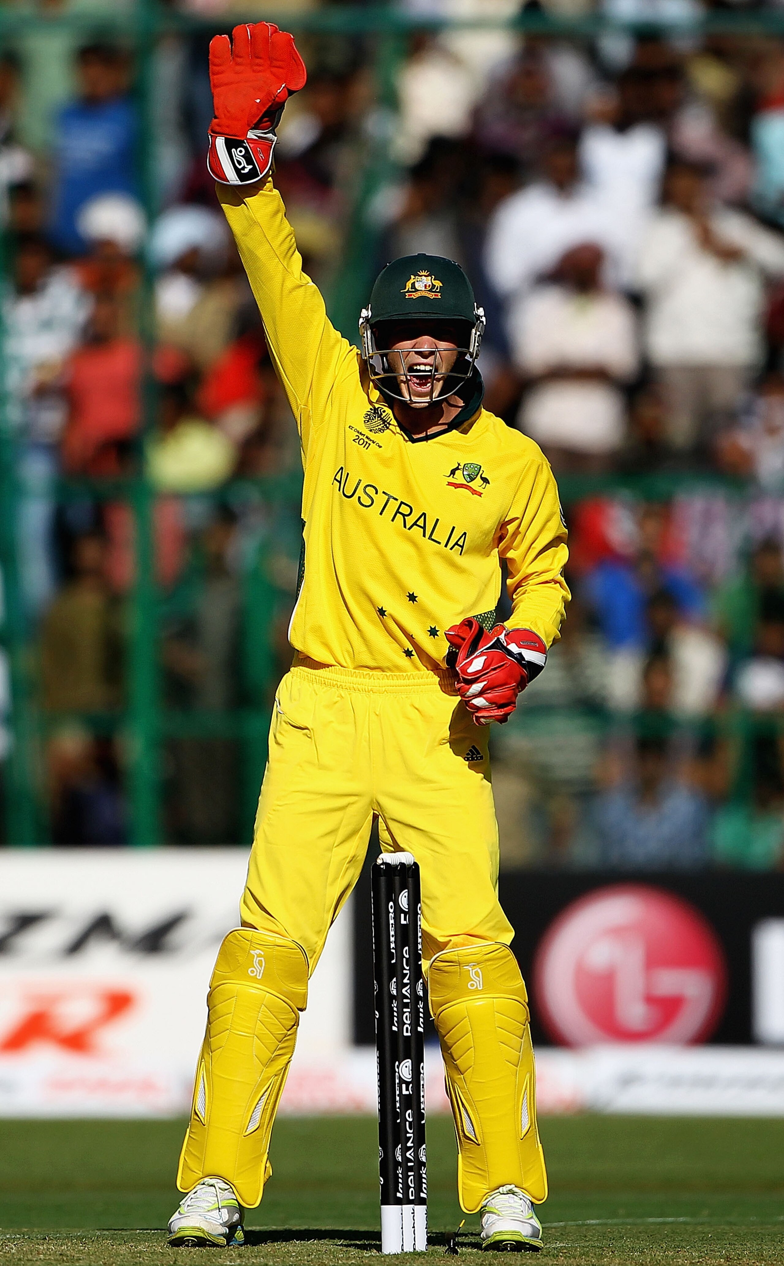 BANGALORE, INDIA - FEBRUARY 13: Tim Paine of Australia in action during the 2011 ICC World Cup Warm up game between India and Australia at the M. Chinnaswamy Stadium on February 13, 2011 in Bangalore, India. (Photo by Matthew Lewis/Getty Images) BANGALORE, INDIA - FEBRUARY 13: Tim Paine of Australia in action during the 2011 ICC World Cup Warm up game between India and Australia at the M. Chinnaswamy Stadium on February 13, 2011 in Bangalore, India. (Photo by Matthew Lewis/Getty Images)