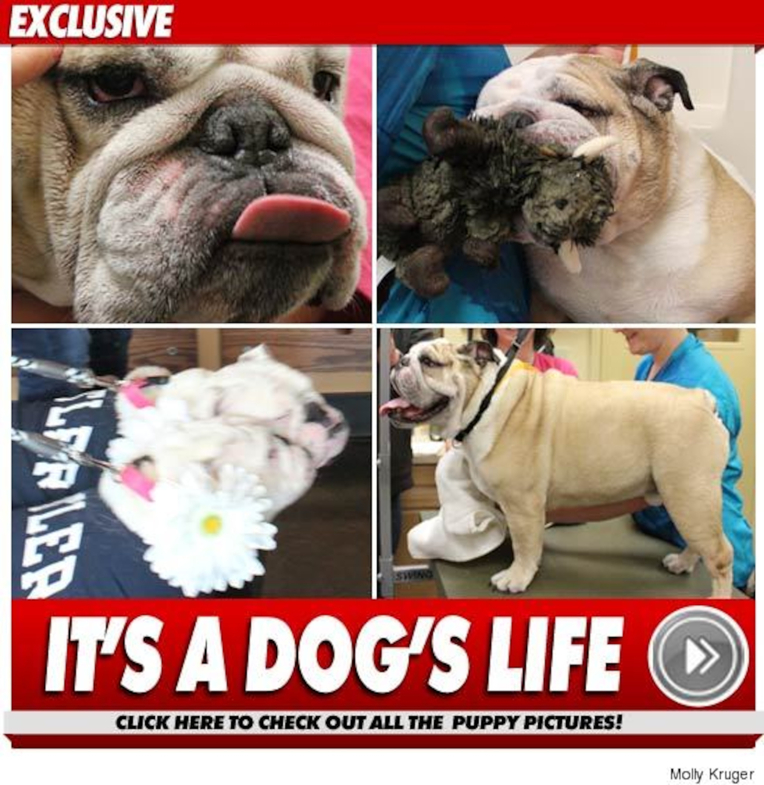 From TMZ.com