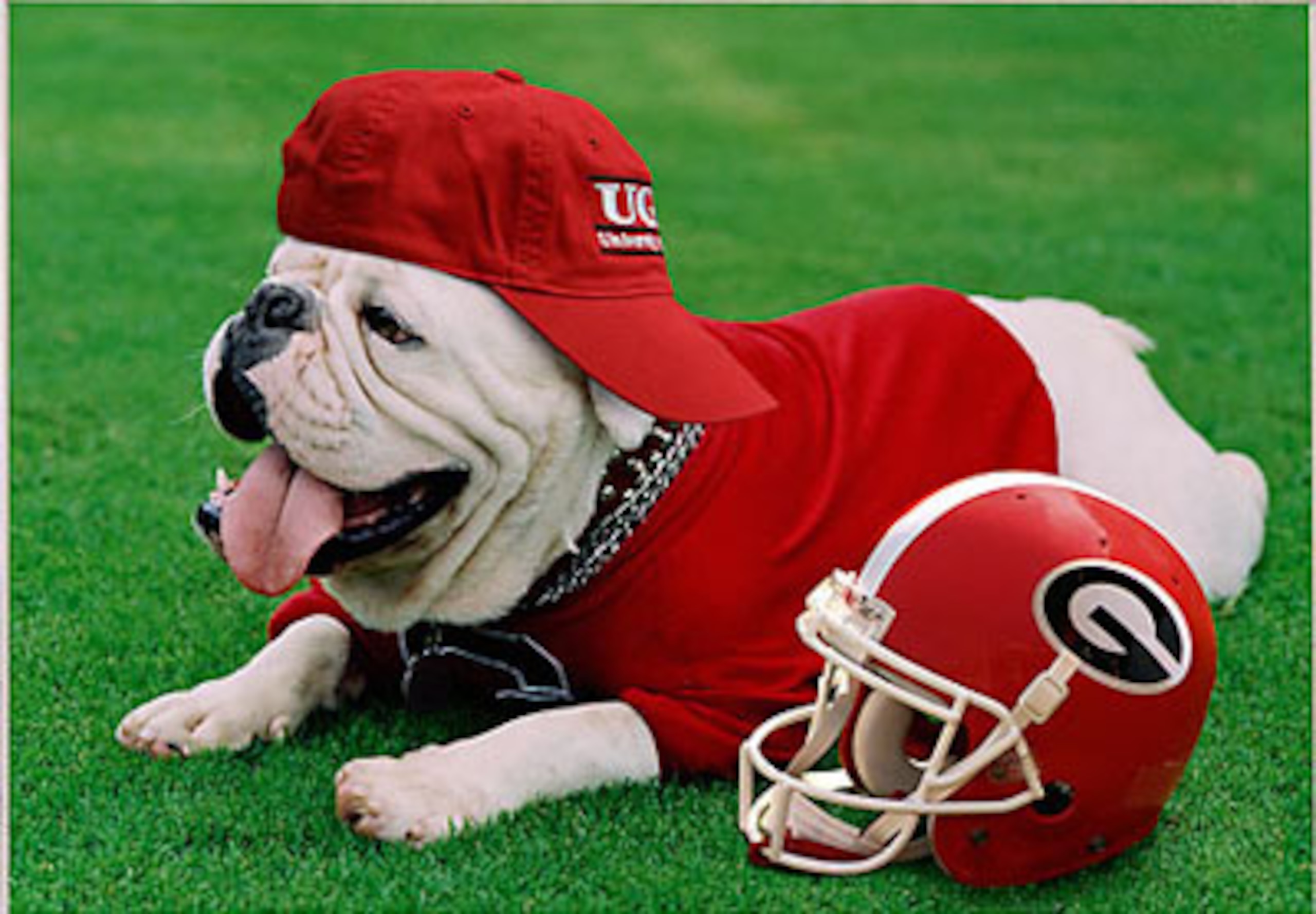 From georgiabulldogs.wordpress.com