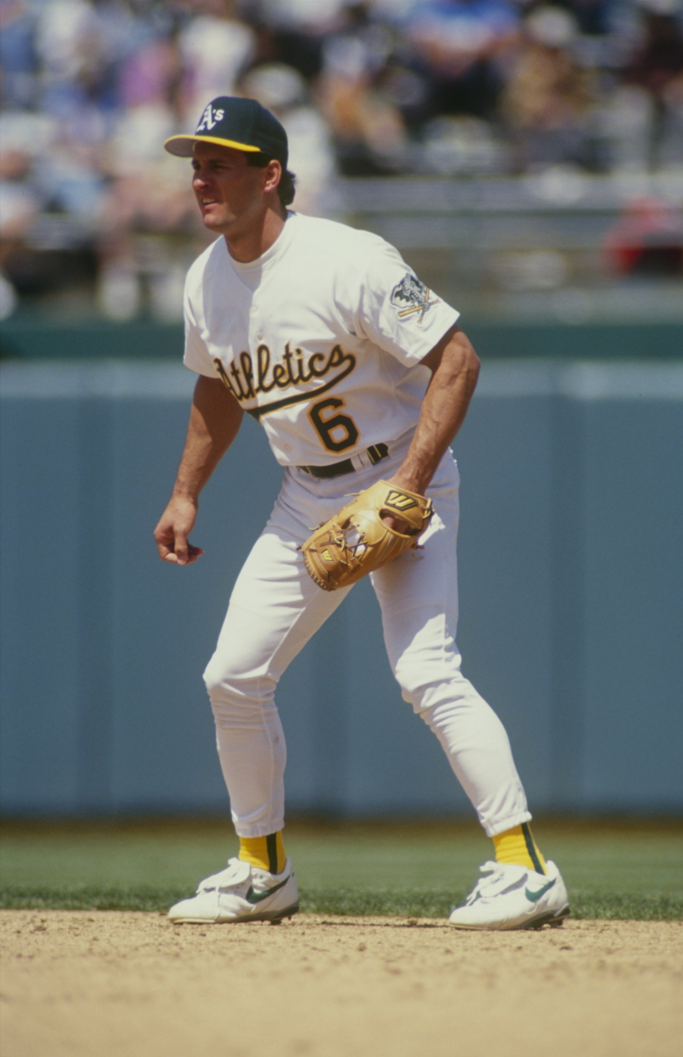 OAKLAND,CA - APRIL 30: Steve Sax #6 of the Oakland Athletics gets ready infield during a game against the New York Yankees at Oakland-Alameda County Coliseum on April 30,1994 in Oakland,California. (Photo by: Otto Greule Jr/Getty Images)
