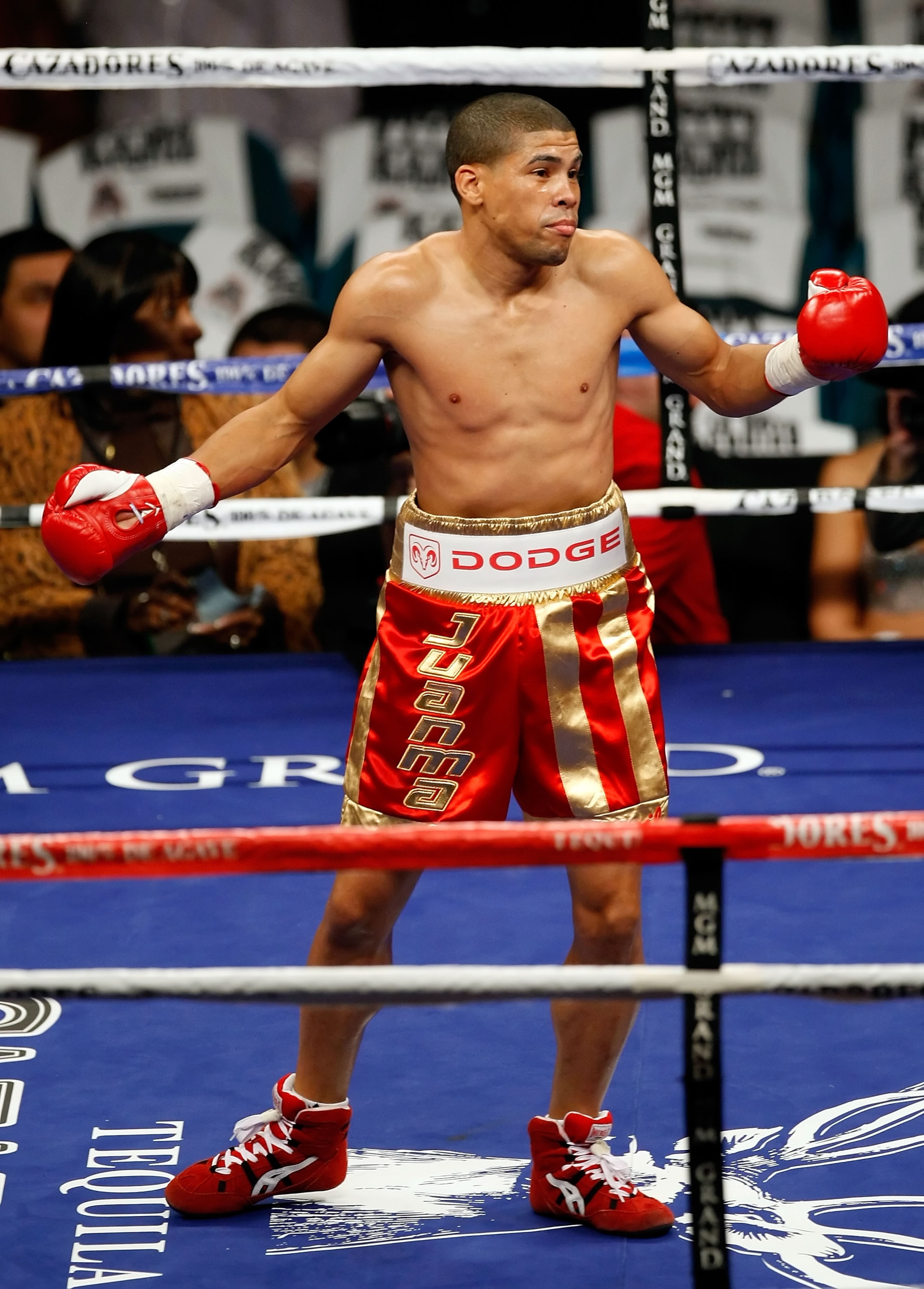 LAS VEGAS - DECEMBER 06:  (L-R) Juan Manuel Lopez of Puerto Rico reacts after knocking out Sergio Medina of Argentina during their WBO junior featherweight title fight at the MGM Grand Garden Arena December 6, 2008 in Las Vegas, Nevada.  (Photo by Ethan M