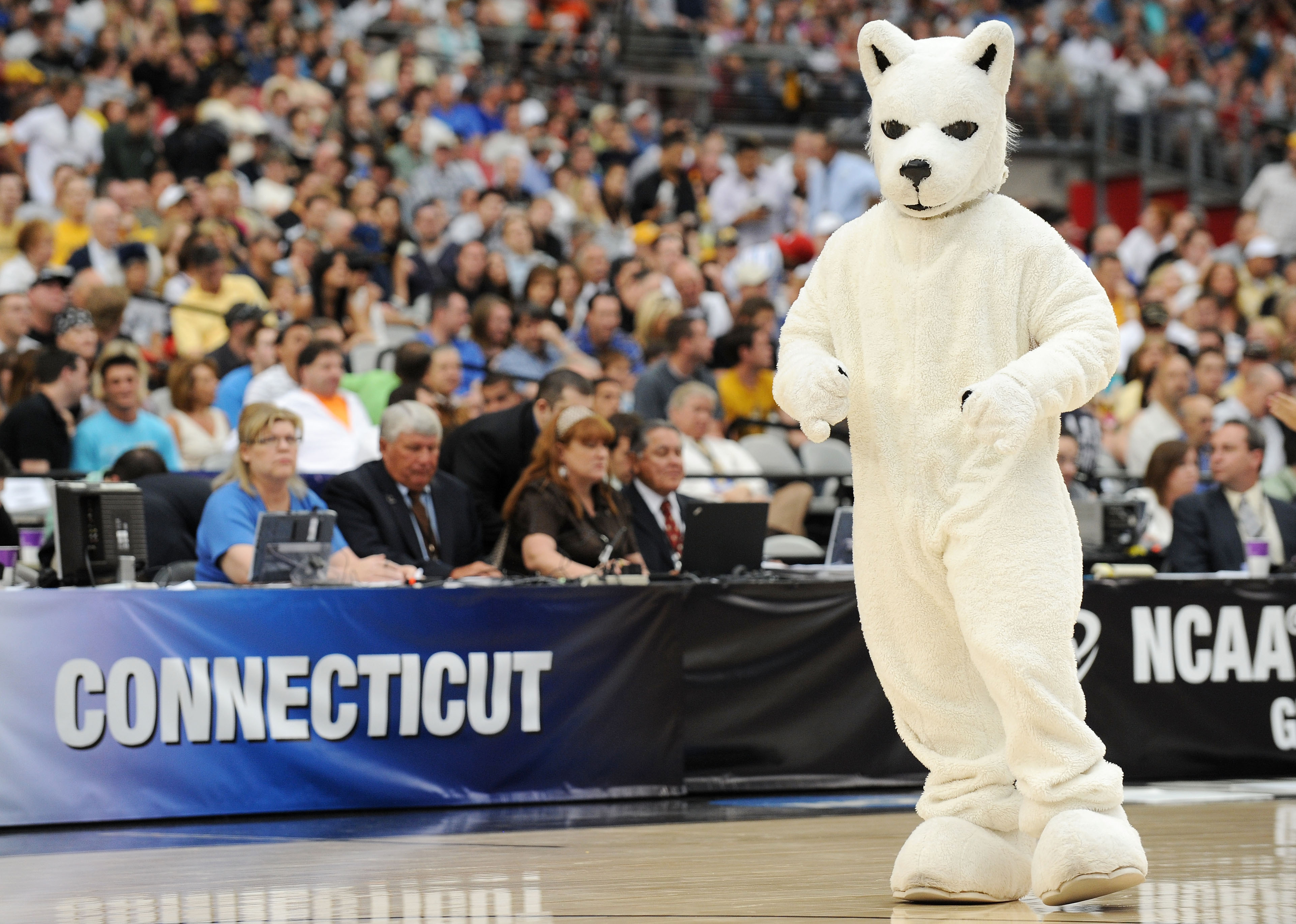 GLENDALE, AZ - MARCH 28:  The mascot of the Connecticut Huskies performs during the game against the Missouri Tigers in the Elite Eight of the NCAA Division I Men's Basketball Tournament at the University of Phoenix Stadium on March 28, 2009 in Glendale,