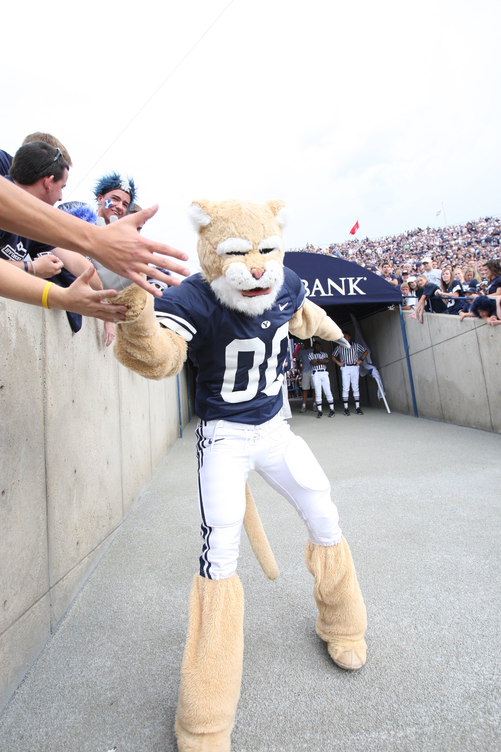 PROVO, UT - SEPTEMBER 19:  Cosmo the mascot of Brigham Young University Cougars gets the fans going before the game against the Florida State Seminoles at La Vell Edwards Stadium on September 19, 2009 in Provo, Utah.  (Photo by Melissa Majchrzak via Getty