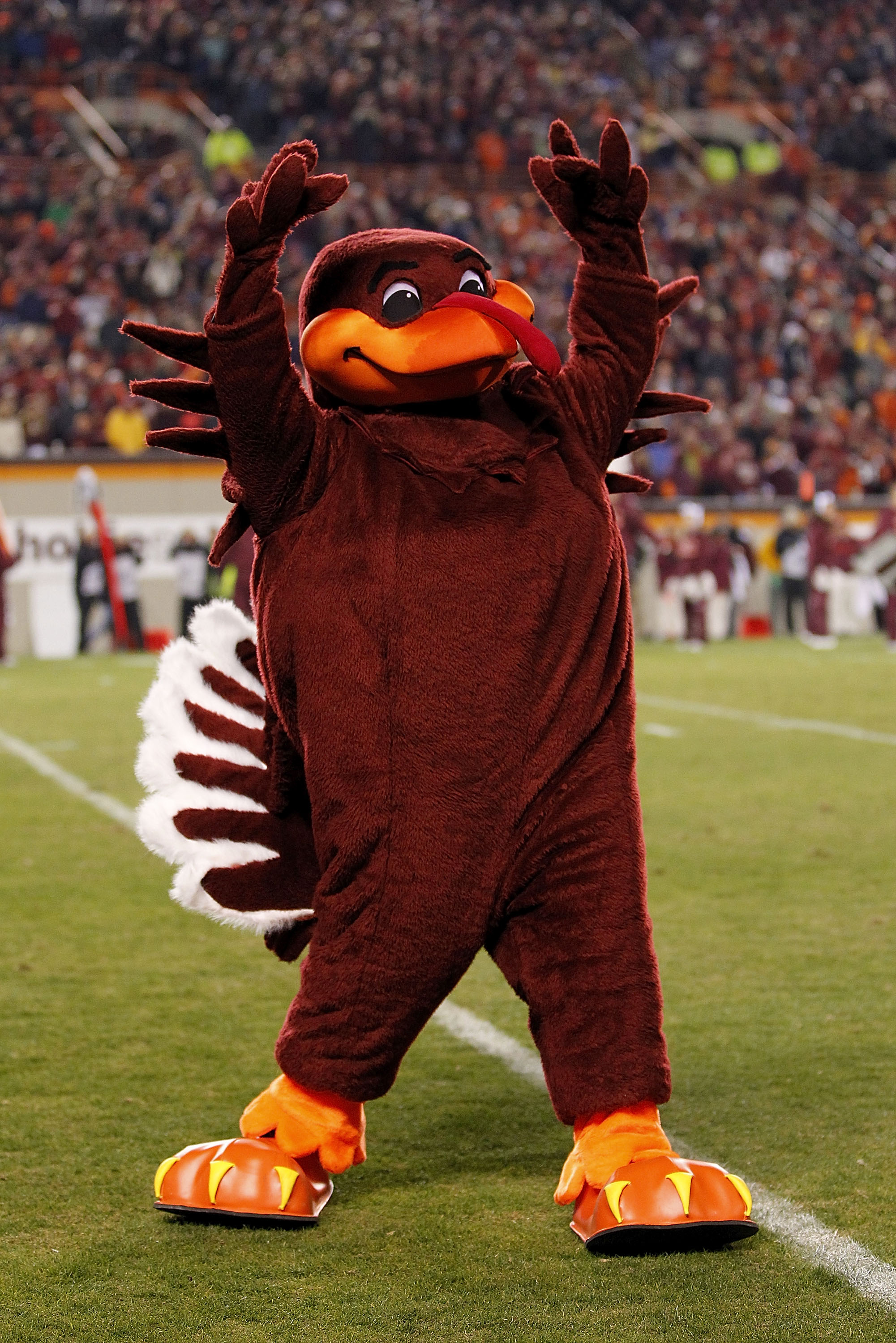 College Football 2011: The 50 Best Mascots in College Football