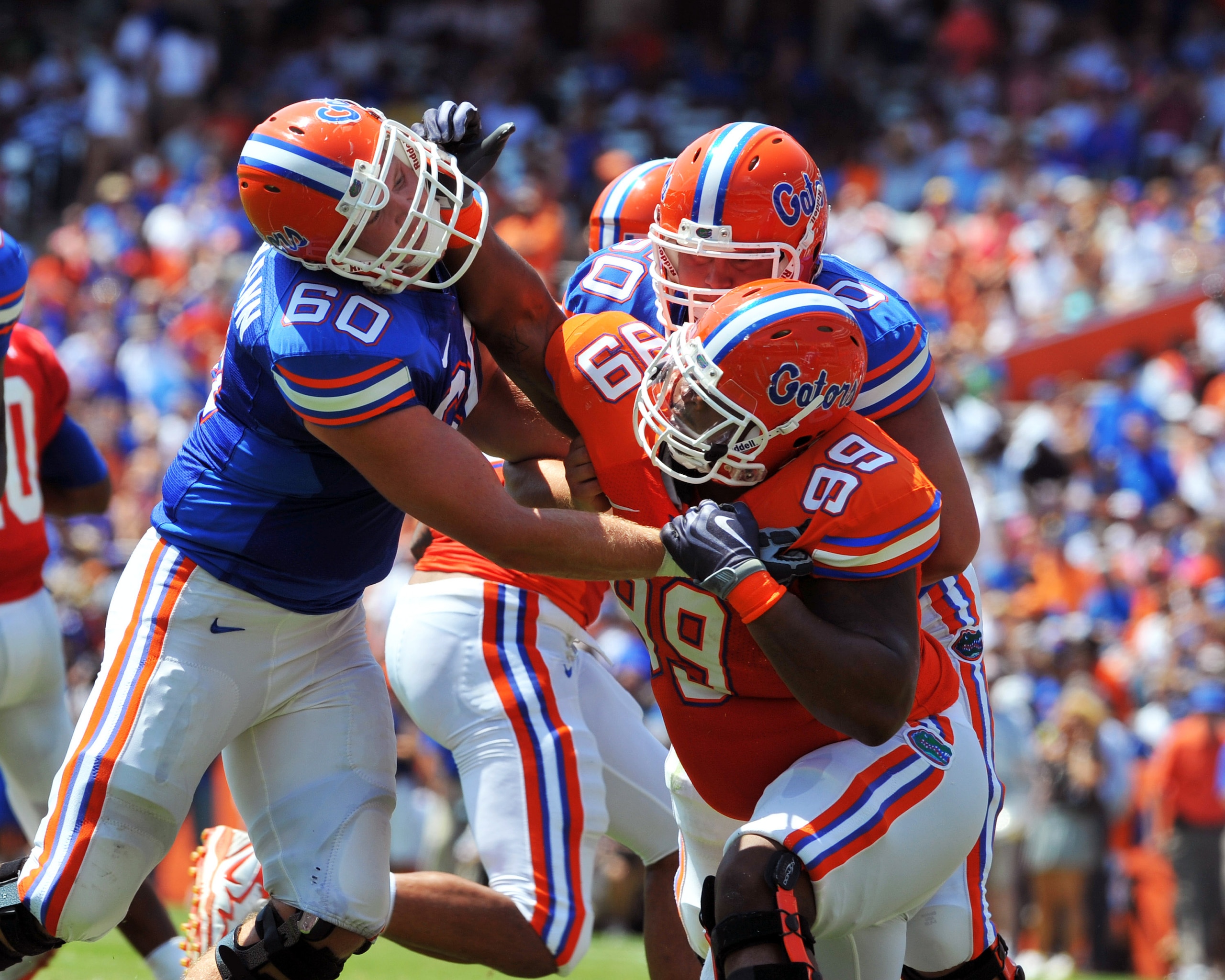GAINESVILLE, FL - APRIL 9:  Tackle William Steinmann #60 of the Florida Gators blocks nose tackle Omar Hunter #99 during the Orange and Blue spring football game April 9, 2010 Ben Hill Griffin Stadium in Gainesville, Florida.  (Photo by Al Messerschmidt/G