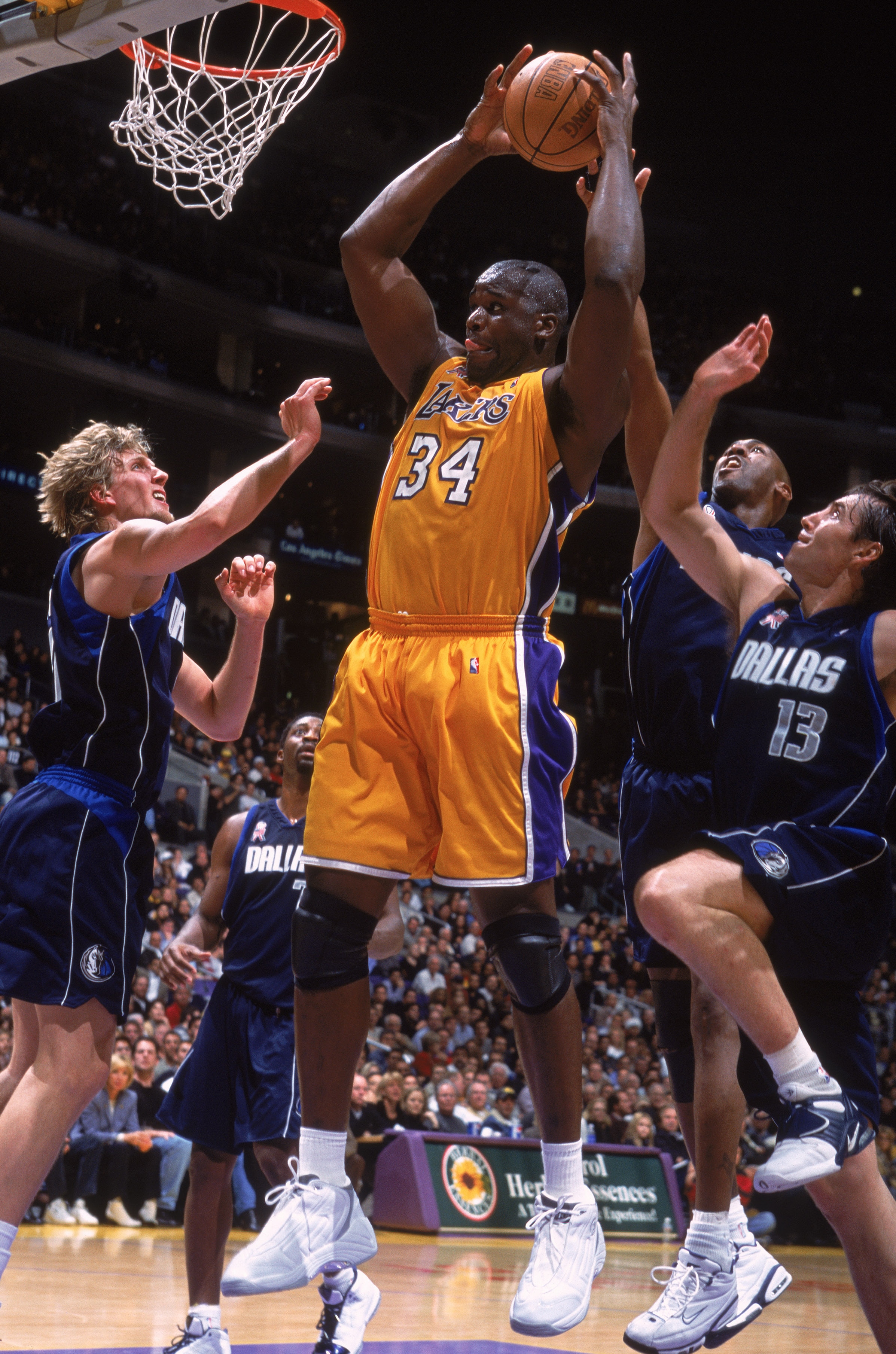 Shaquille O'Neal Slam Dunk Los Angeles Lakers 8 x 10 Basketball Photo