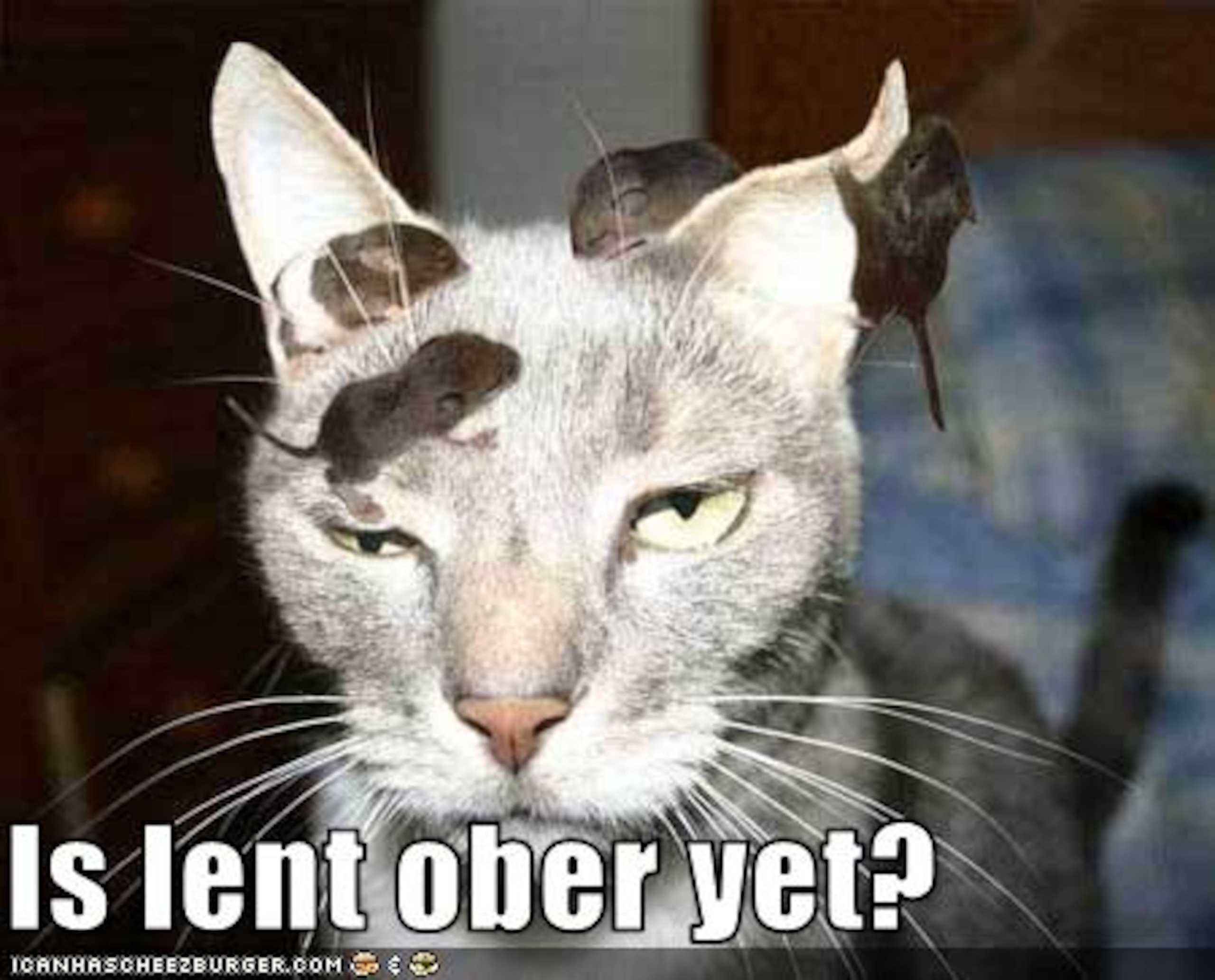 Courtesy of: http://icanhascheezburger.com Courtesy of: http://icanhascheezburger.com