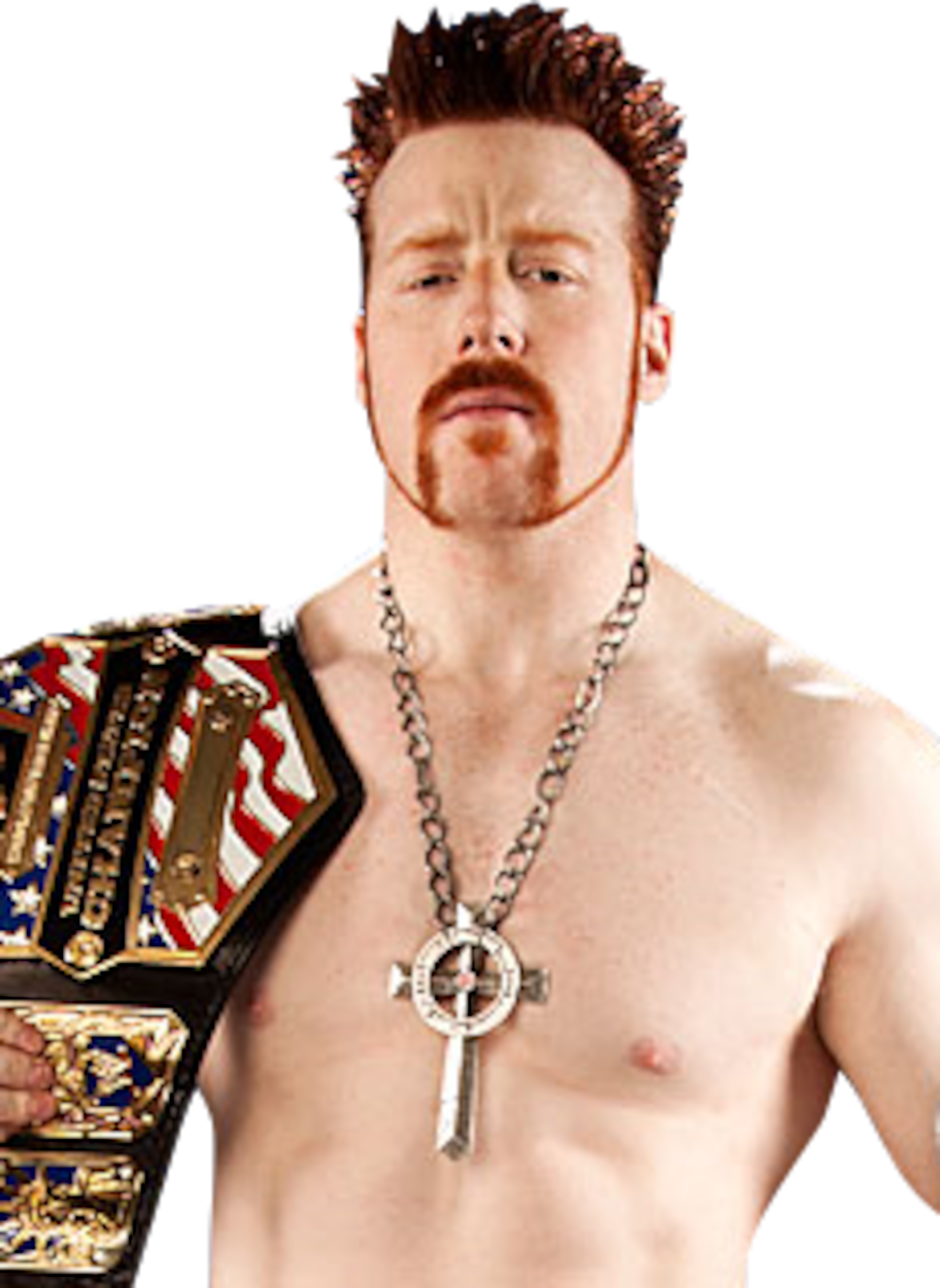 The Belfast Brawler The Belfast Brawler