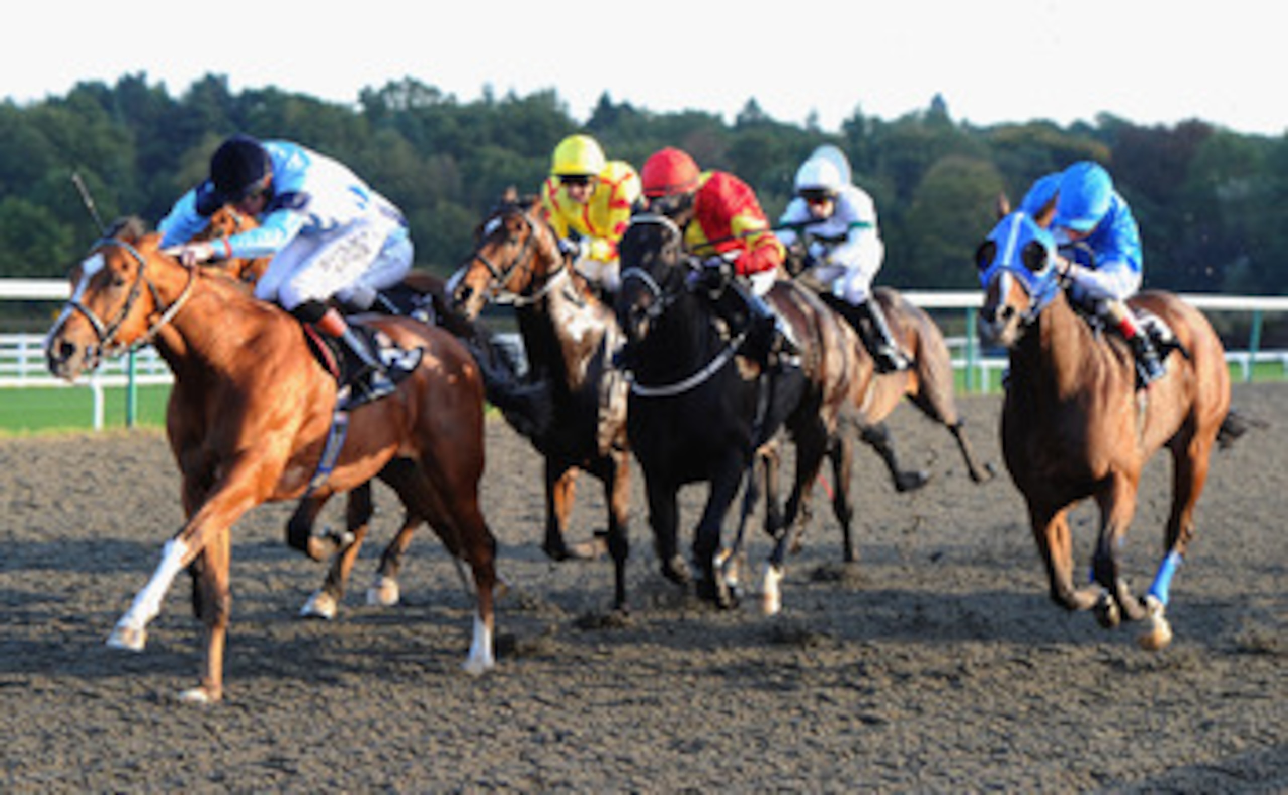 LINGFIELD, ENGLAND - OCTOBER 13:  Richard Hughes on Hierarch (left) on thier way to victory in the L & M Body Repairs Legendary Classified Claiming Stakes (div 2) race at Lingfield Park on October 13, 2010 in Lingfield, England.  (Photo by Mike Hewitt/Get